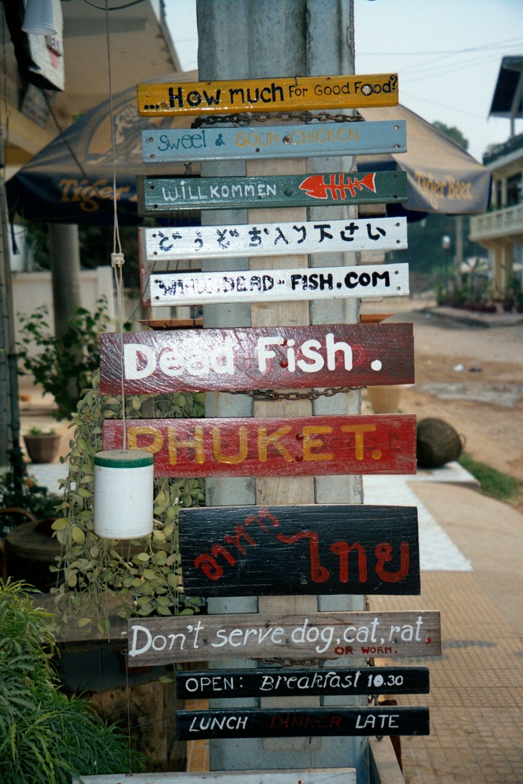 Tourist dollars make it happen.