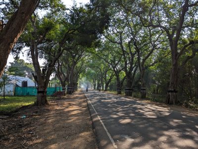 The old road from Kumbakonam to Chidambaram.