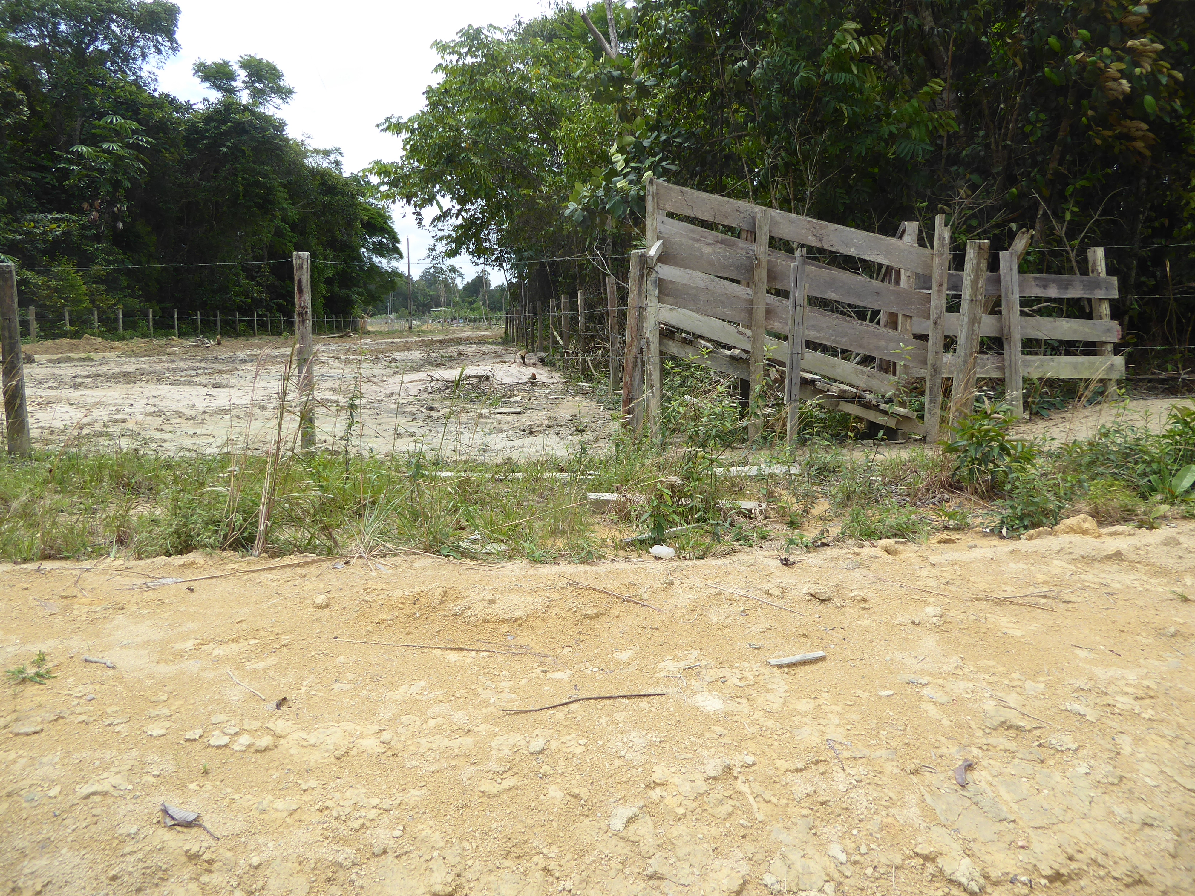 Then, signs of cattle.