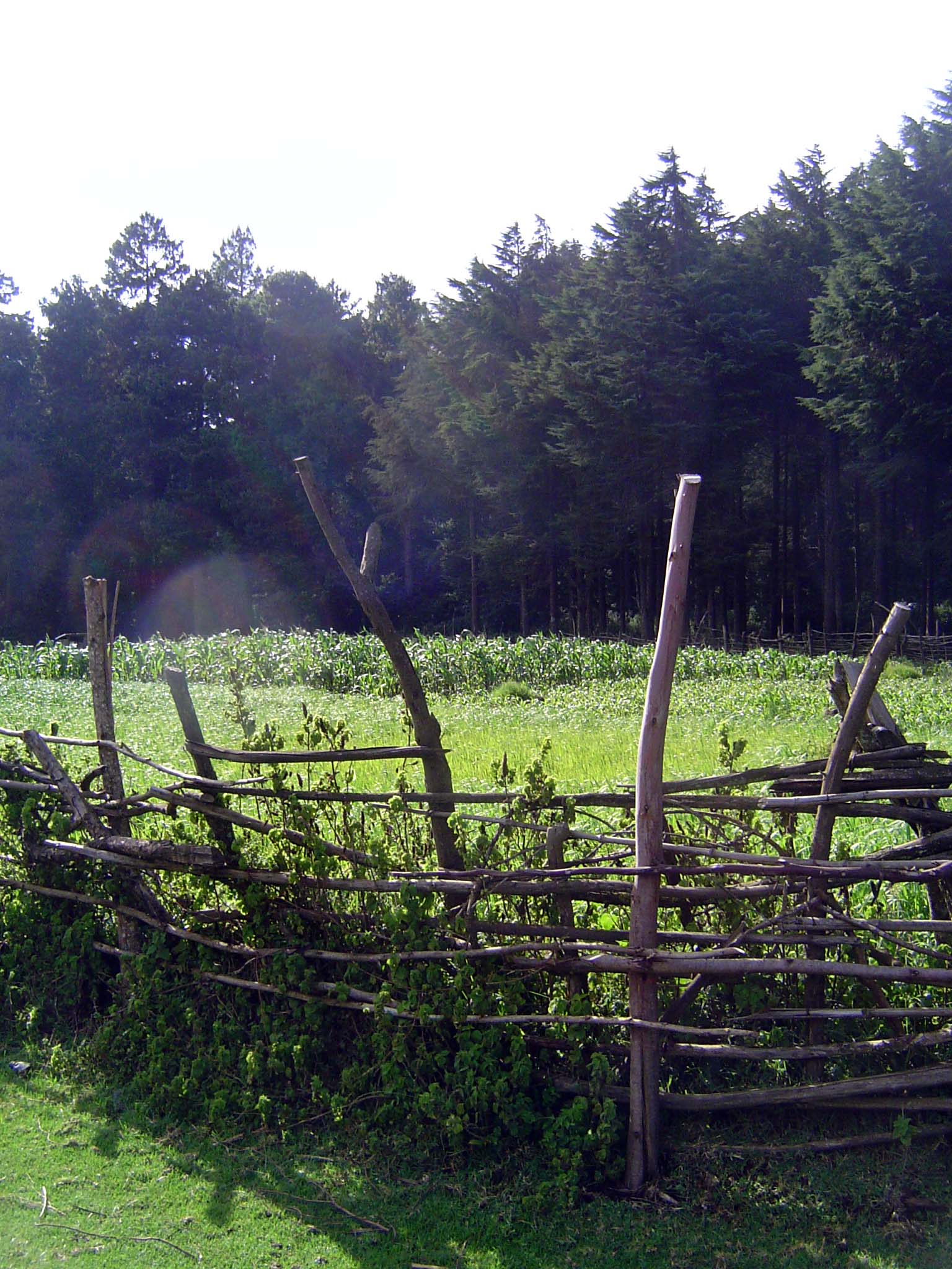 What, ho! Shall we call it a Canadian farmstead? Could almost be.