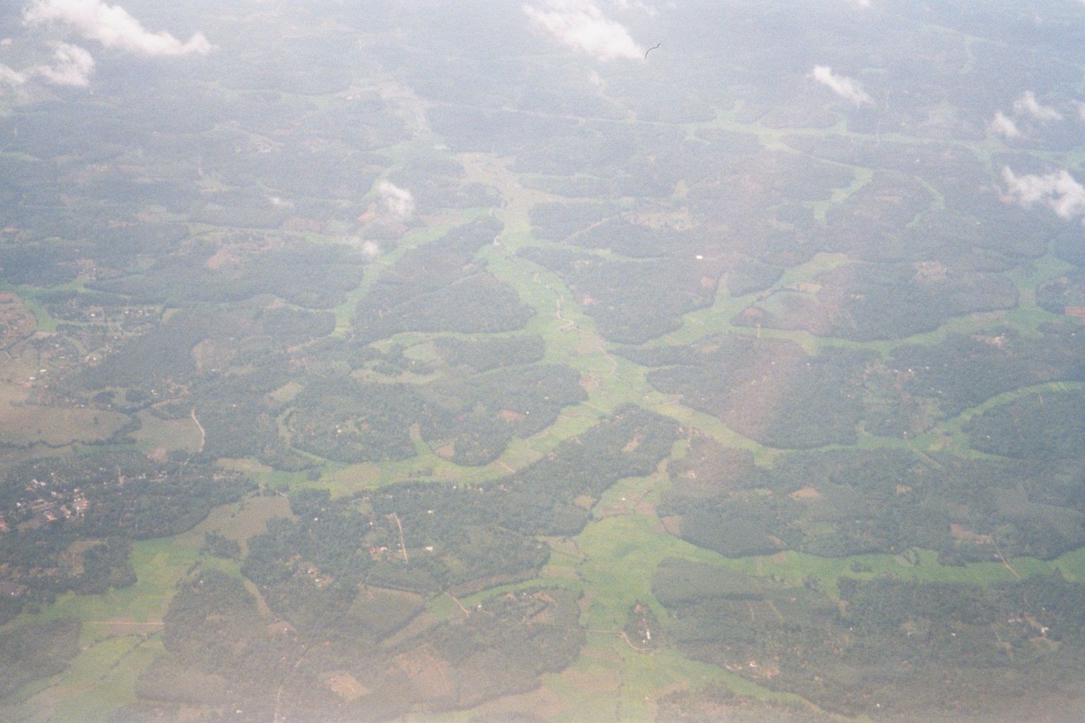 The coastal plain a few miles east of Colombo has a very distinctive land-use pattern, with lowland paddy fields in a dendritic pattern sepa