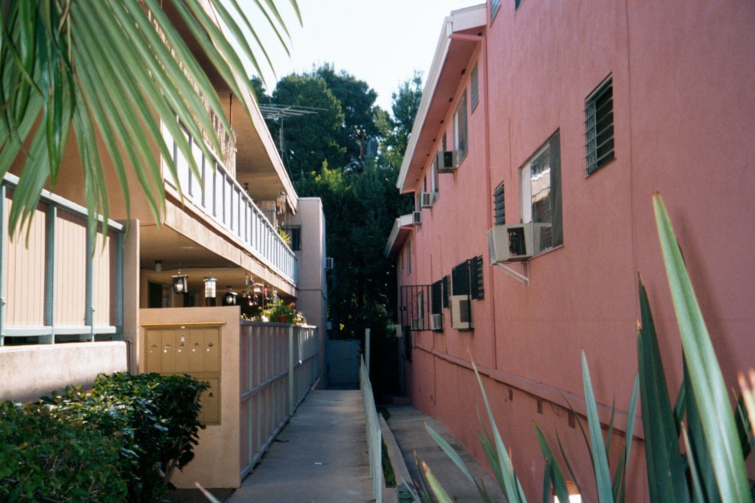 Hollywood has plenty of people who can't afford such prices. For them, apartments will do—in this case off Hollywood Boulevard west of La Br