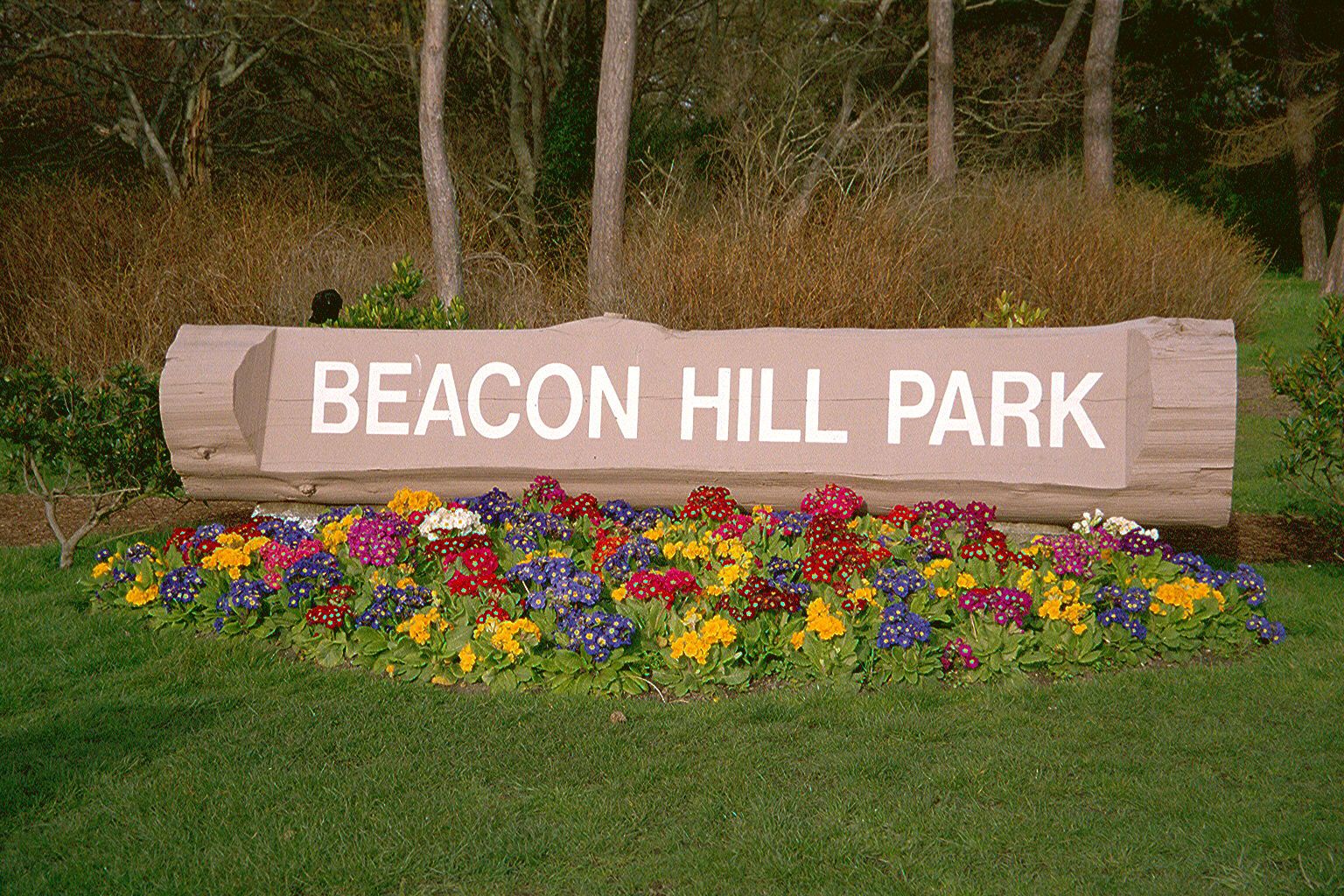 What to do with such prospects? One answer is in Beacon Hill Park. So much for Americans who can't see any significant difference between th