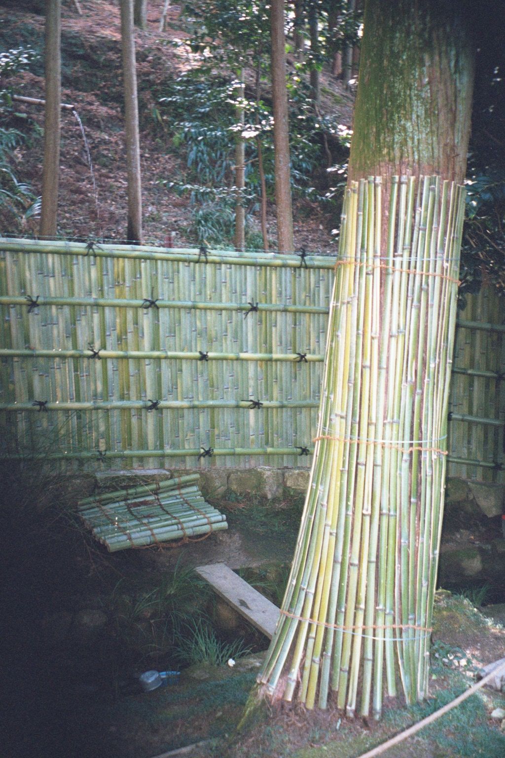 The use of bamboo is extraordinary, beautiful, and perhaps a tad compulsive.