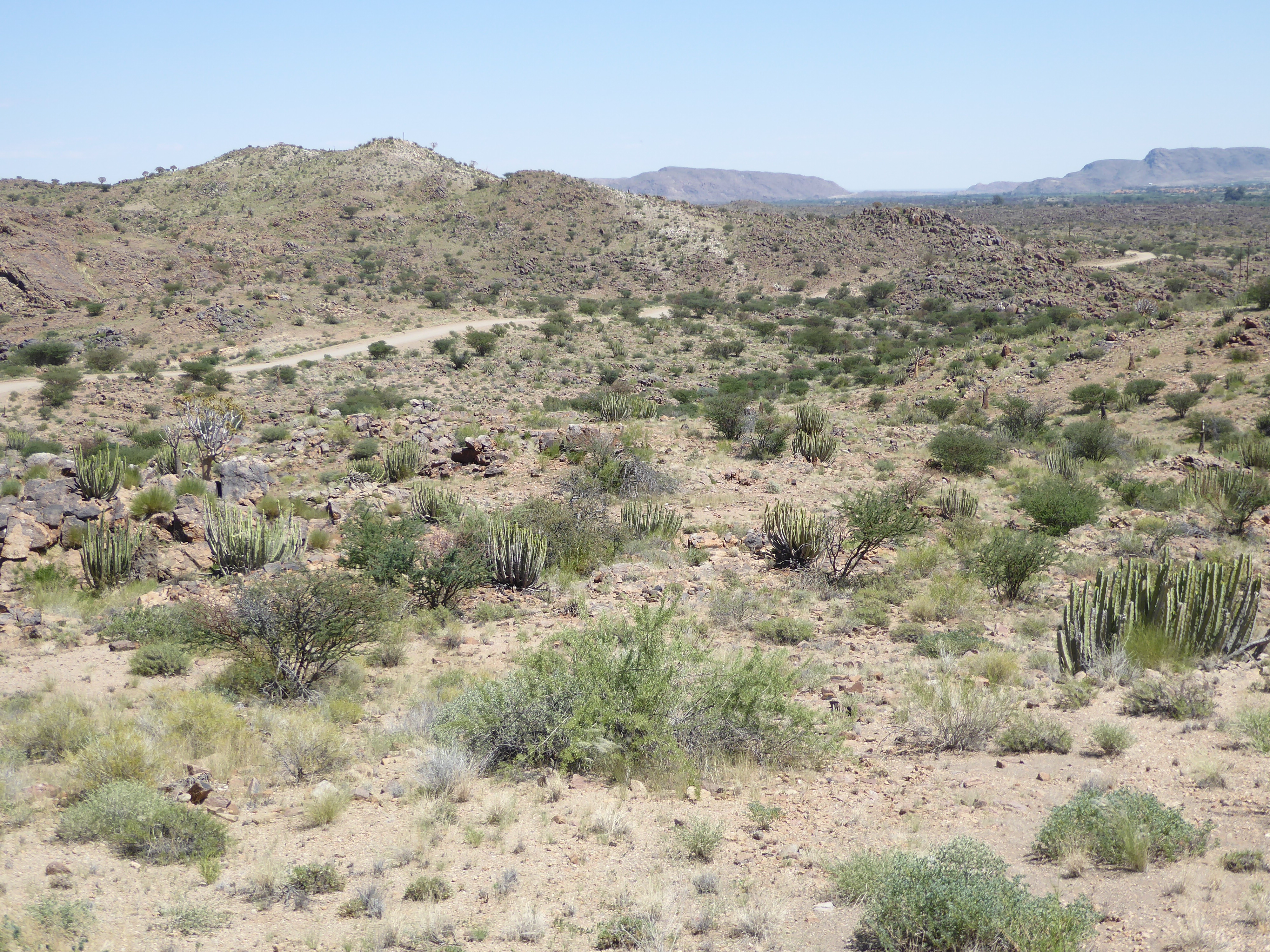 There are stretches along the river where the ground is too uneven for reclamation.