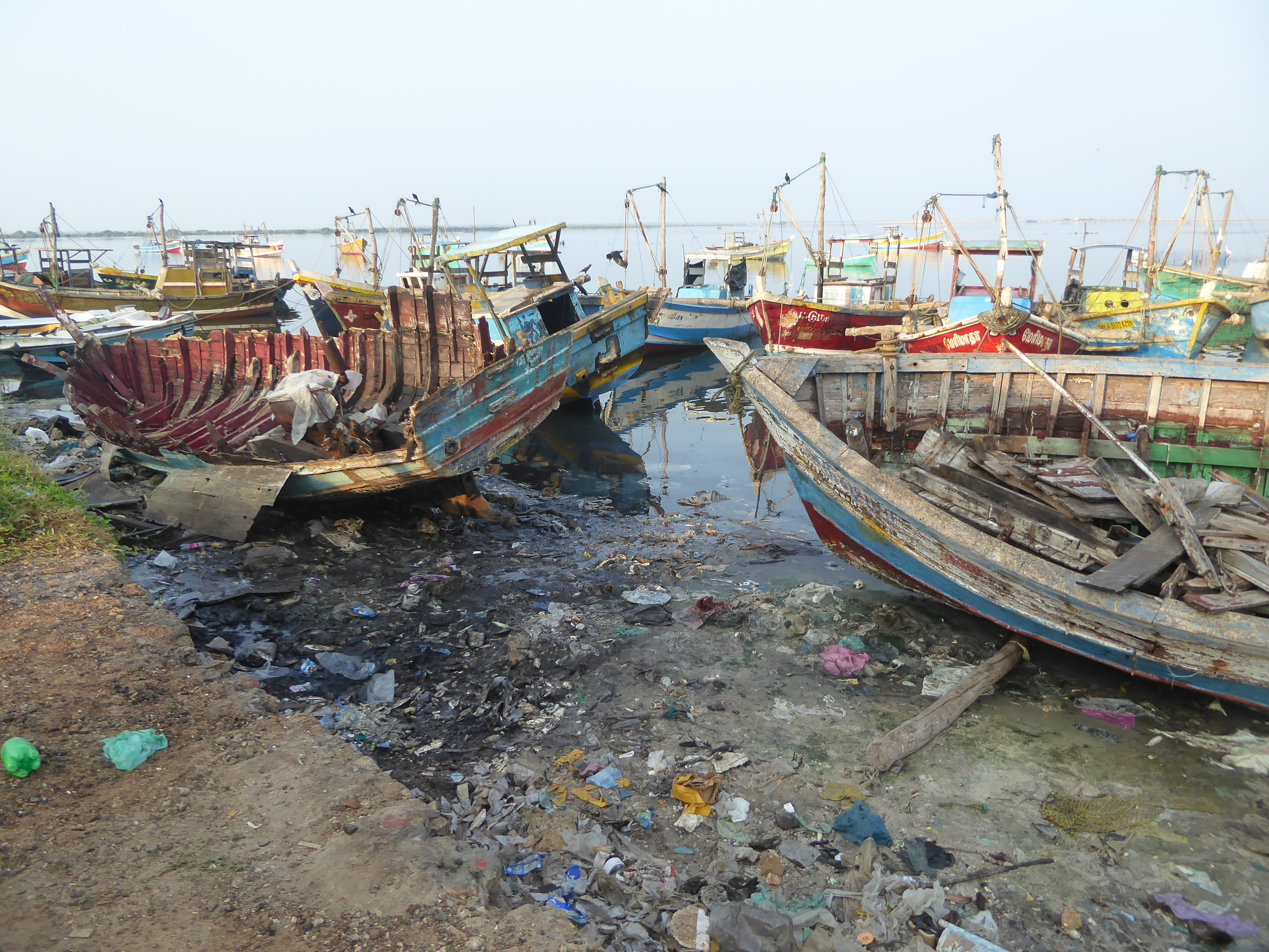 The fish boats are small and simple; when they die they decompose in situ.