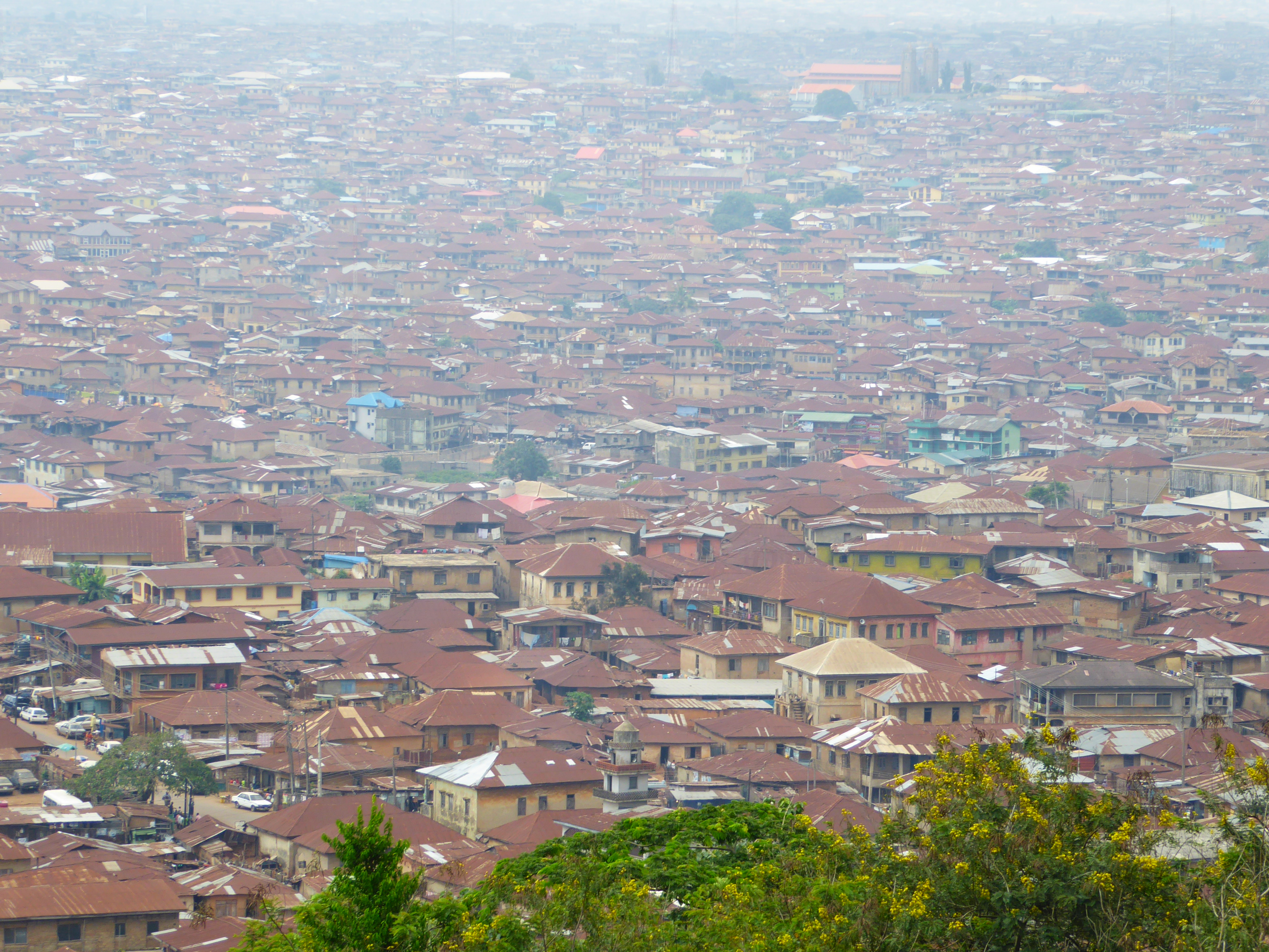 Welcome! The name Ibadan translates as "the meeting place in the fields." Quite the meeting.

Kenneth Mellanby, who arrived in the late 1940