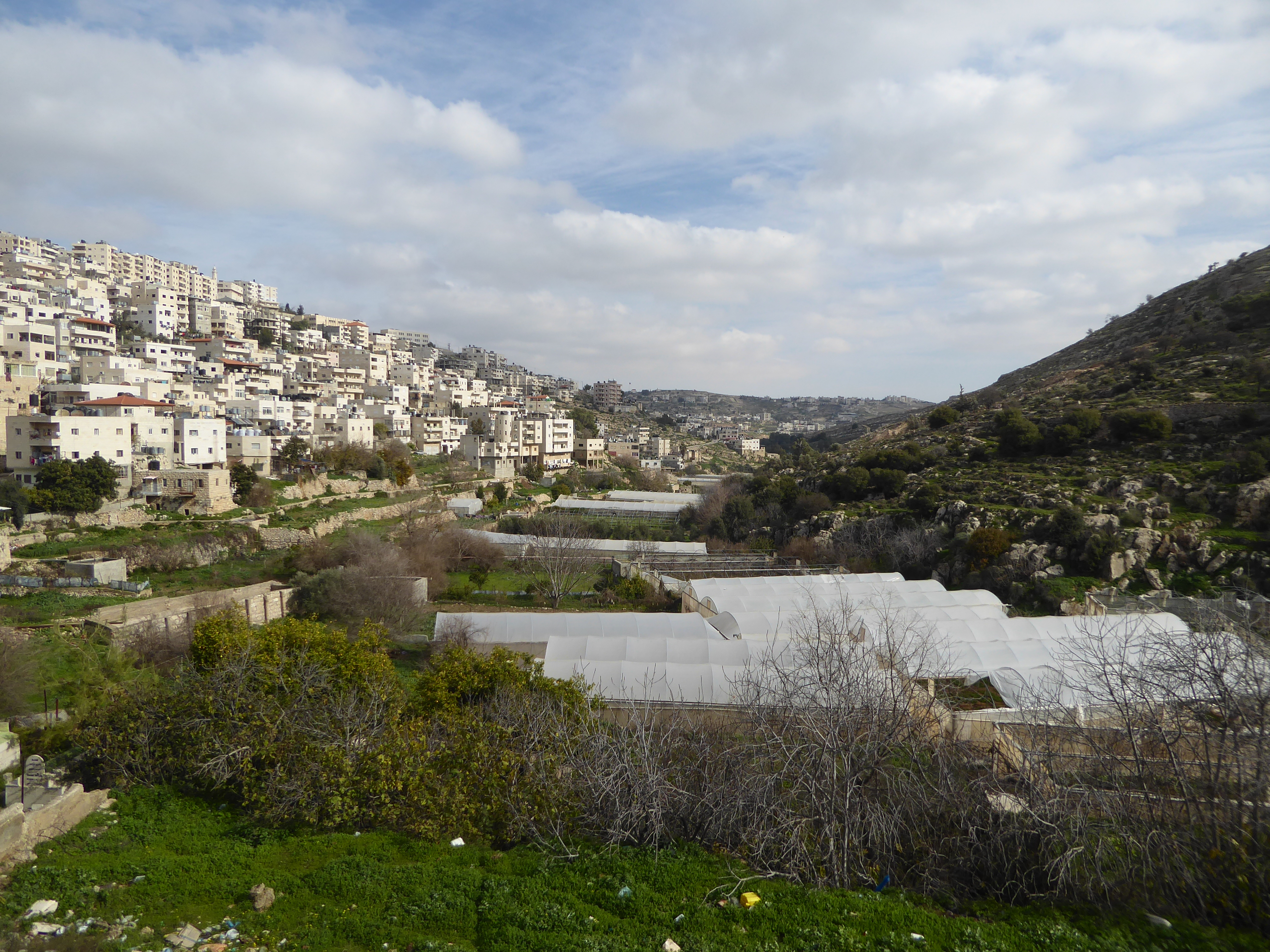 Downstream a few hundred yards is the rapidly growing town of Artas, hardly separable from Bethlehem now.