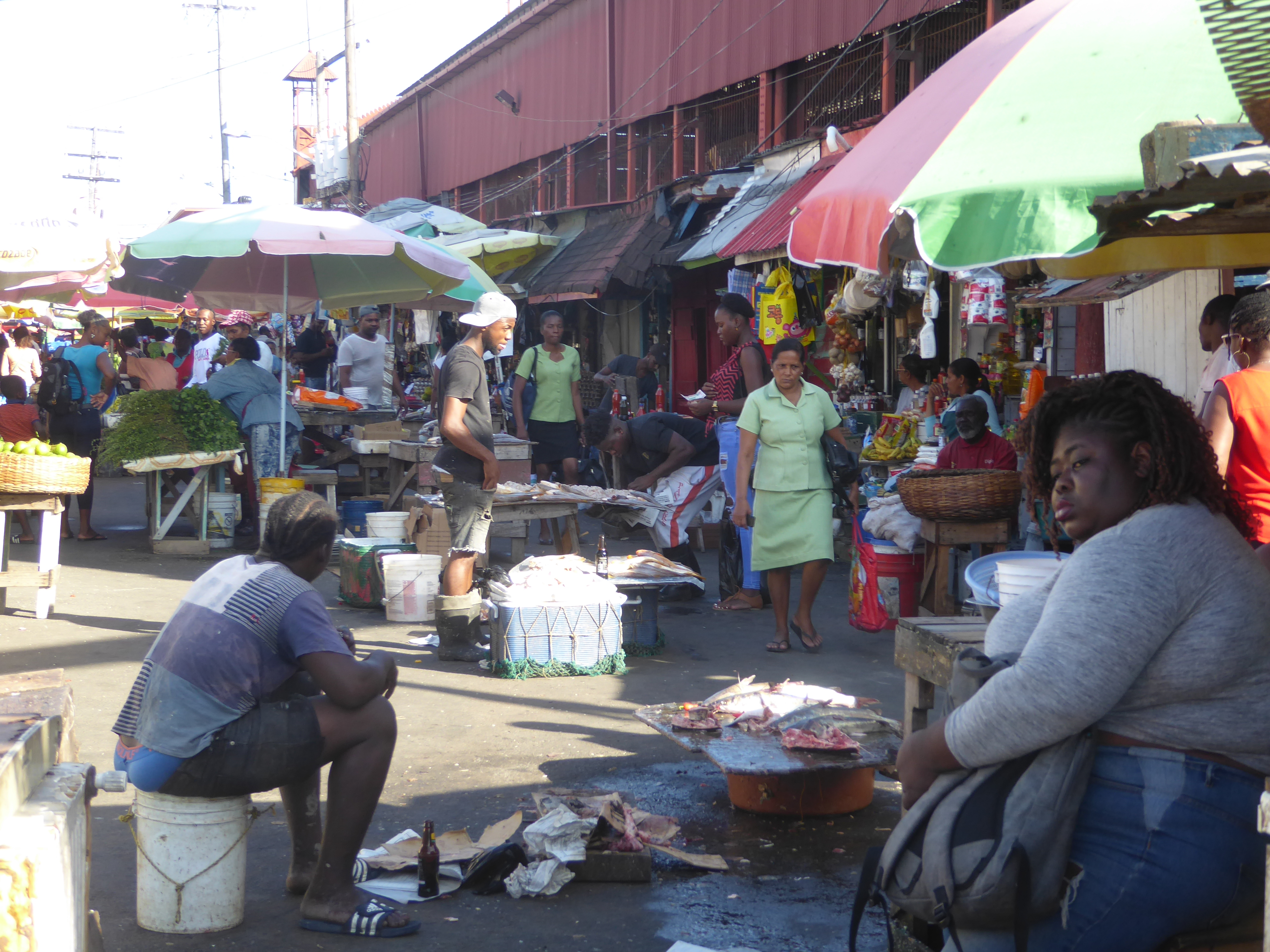 We’ll start at Stabroek and at the water's edge, with fish to prove it.