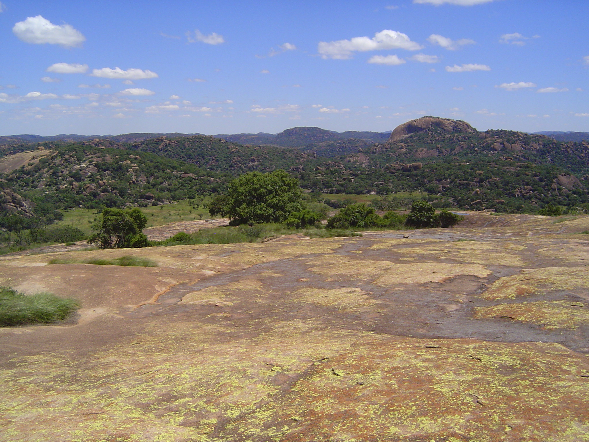 Here's the view from near the summit: 360 degrees of wildness.