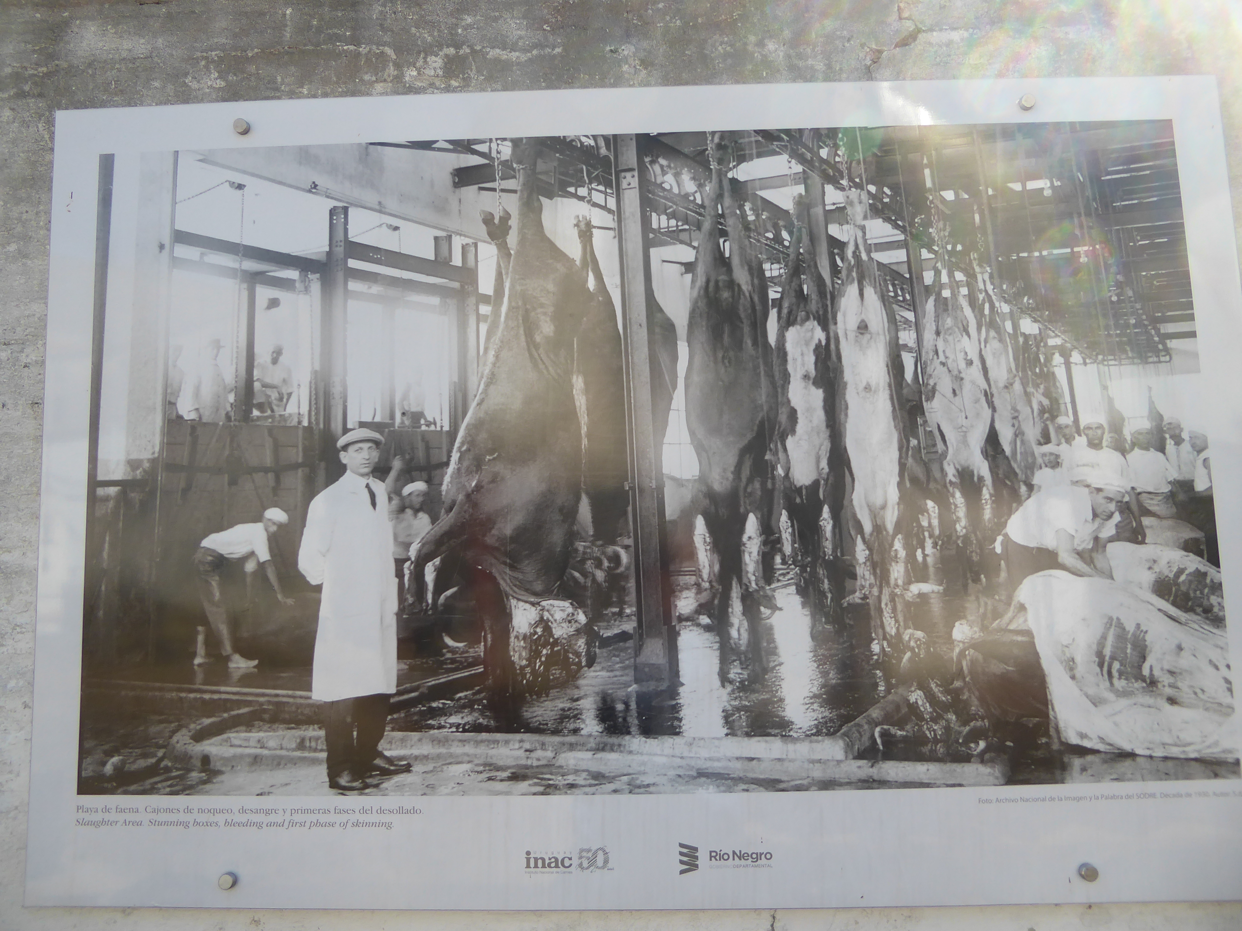 Were the workers able to stay as clean as they appear here?