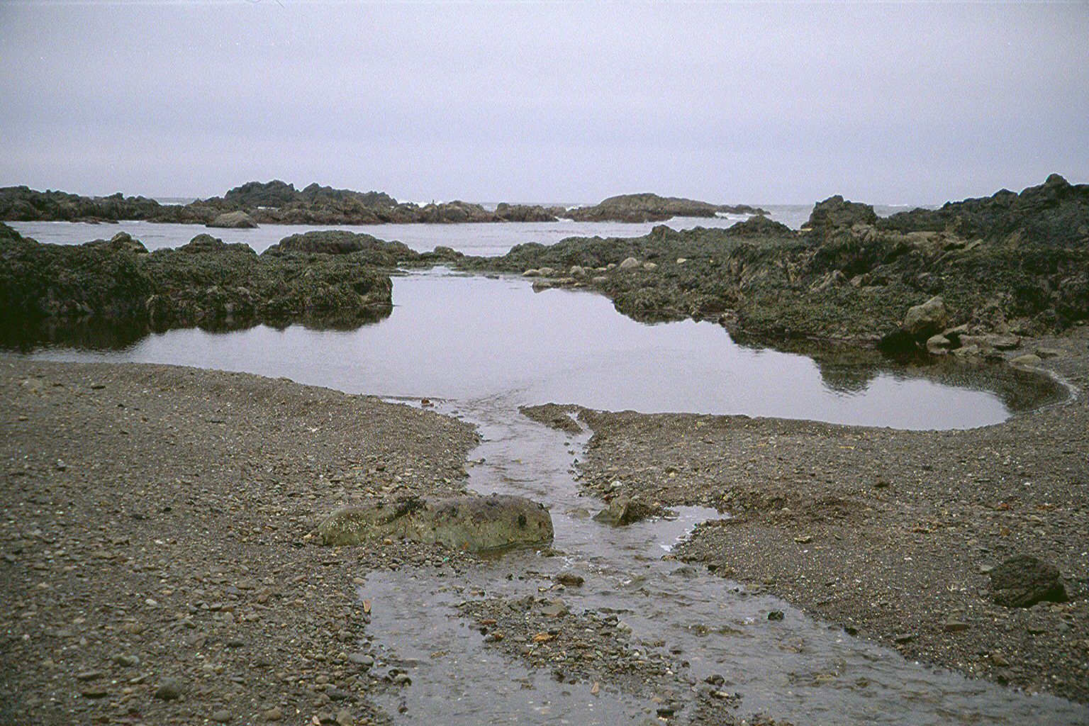 Drainage from one of the countless streams that flow to the sea, here at the beach to which the walkway leads.
