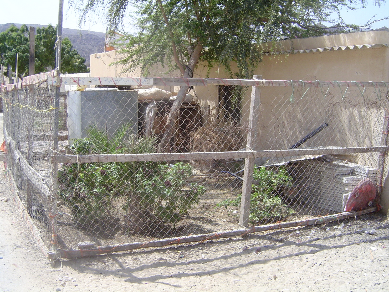 However limited, a garden.