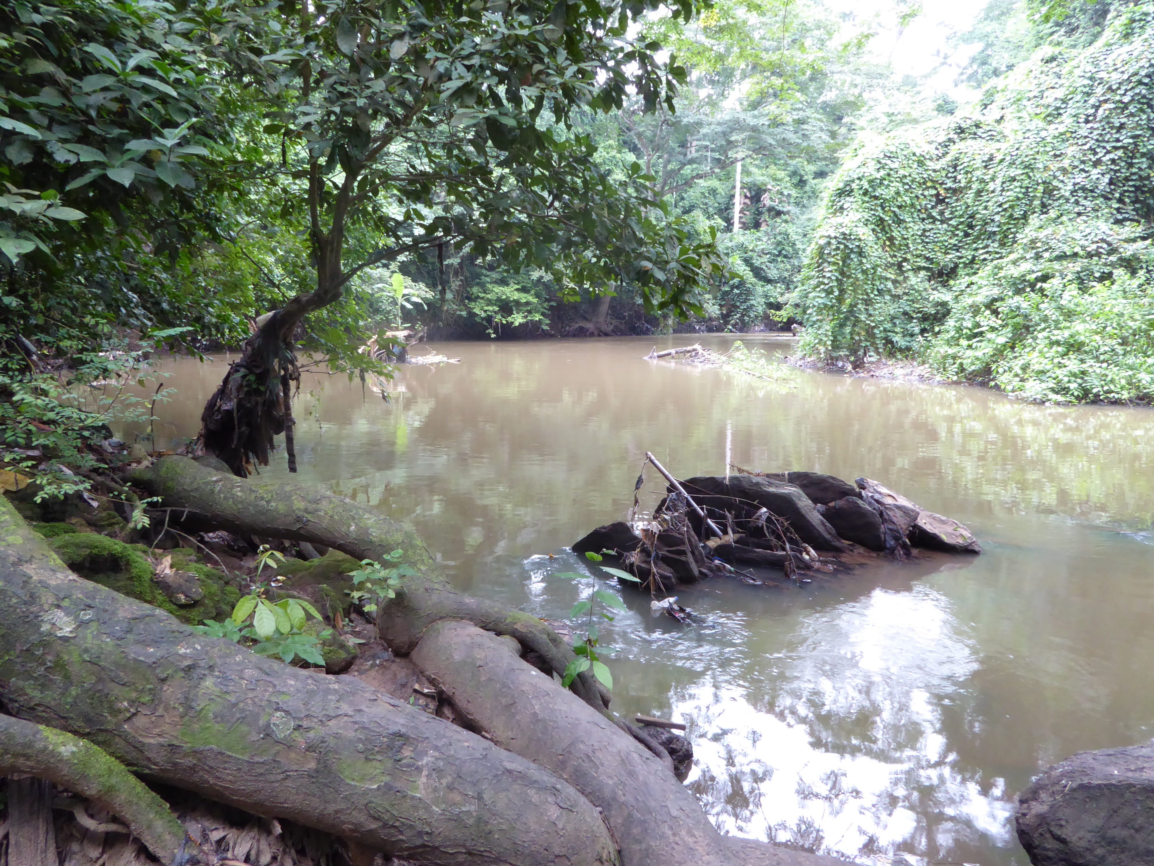 The grove was sacred because it sheaths the Osun River, which was sacred because the river is understood to symbolize Osun, one of the most