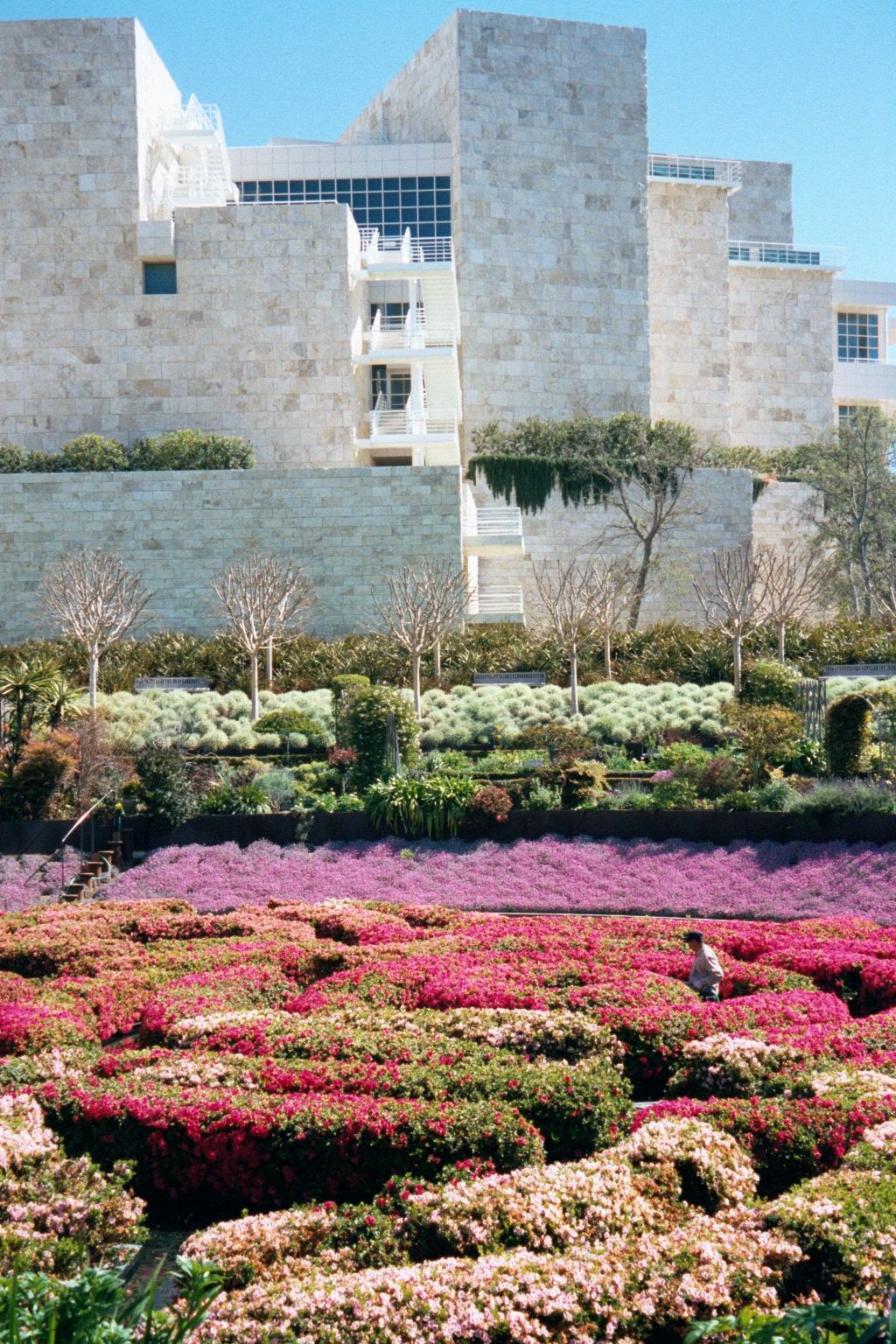 The museum, designed by Richard Meier, rises over the garden but doesn't smell nearly as good.