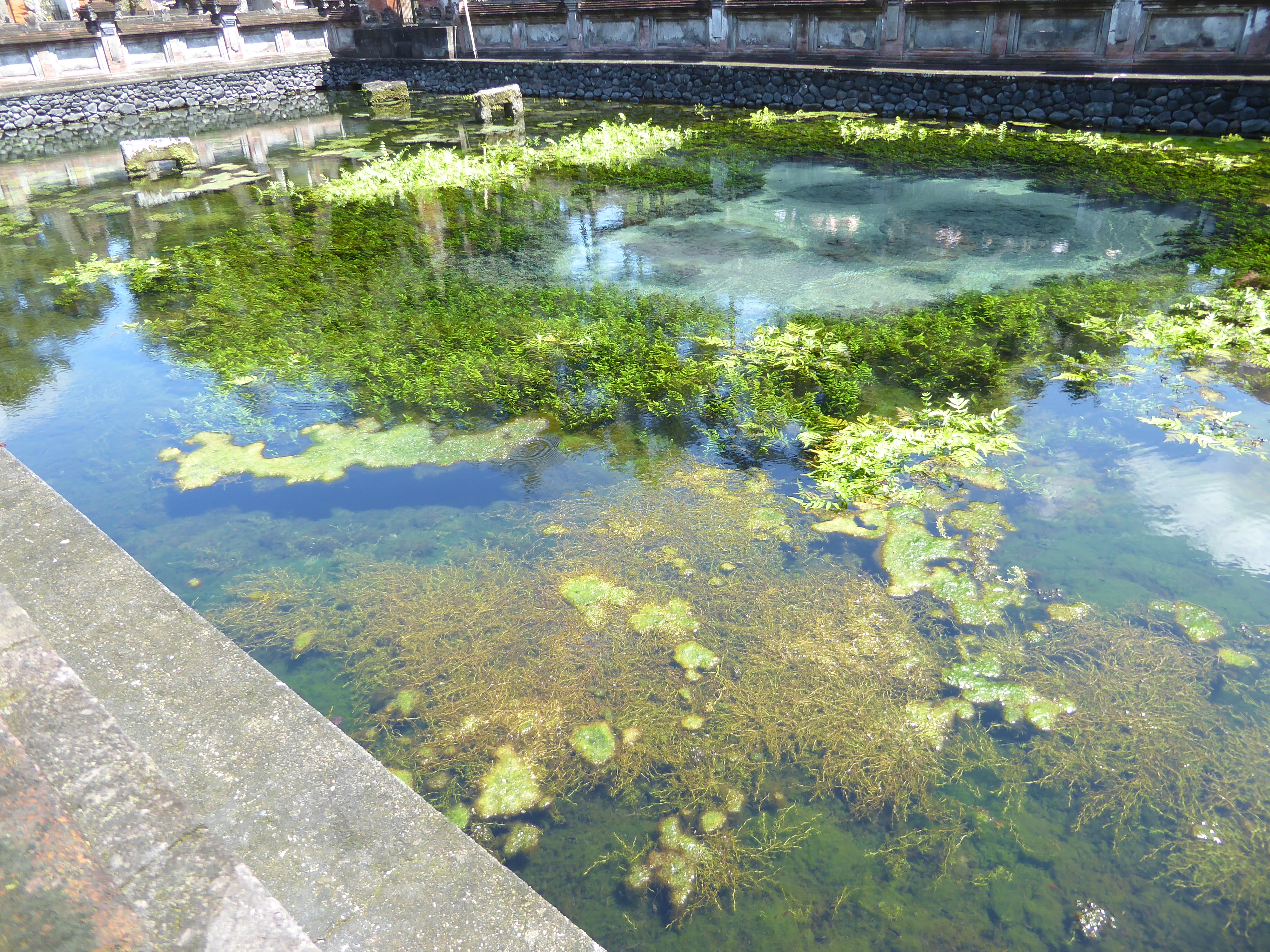 Here's the spring itself. welling up in brilliant clarity. Today's tourists look good in comparison to an episode that took place here in th