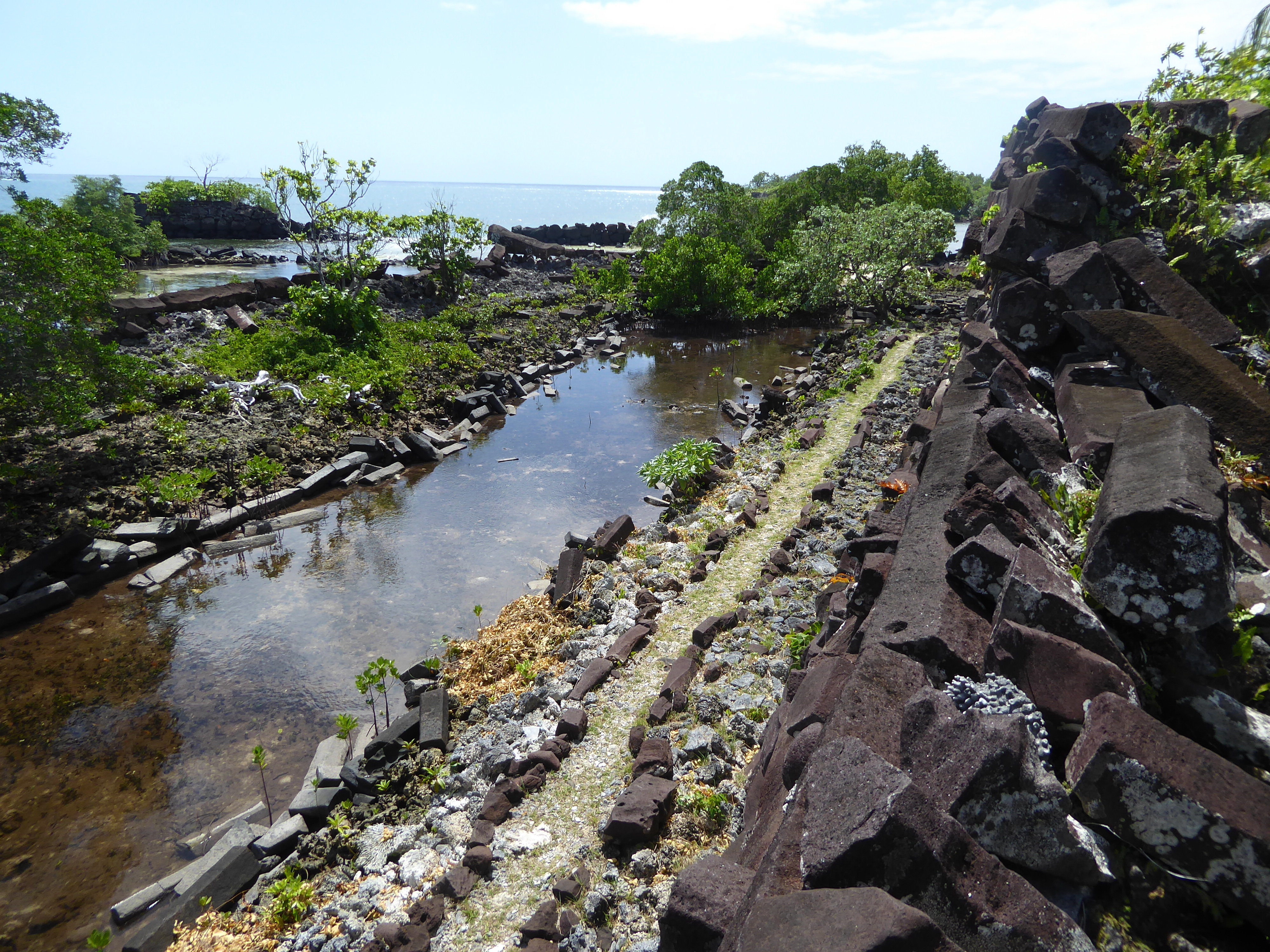 Here's the view from the top of the enclosure's rear wall. There are two outer walls protecting Nan Douwas. There's no visible reef because