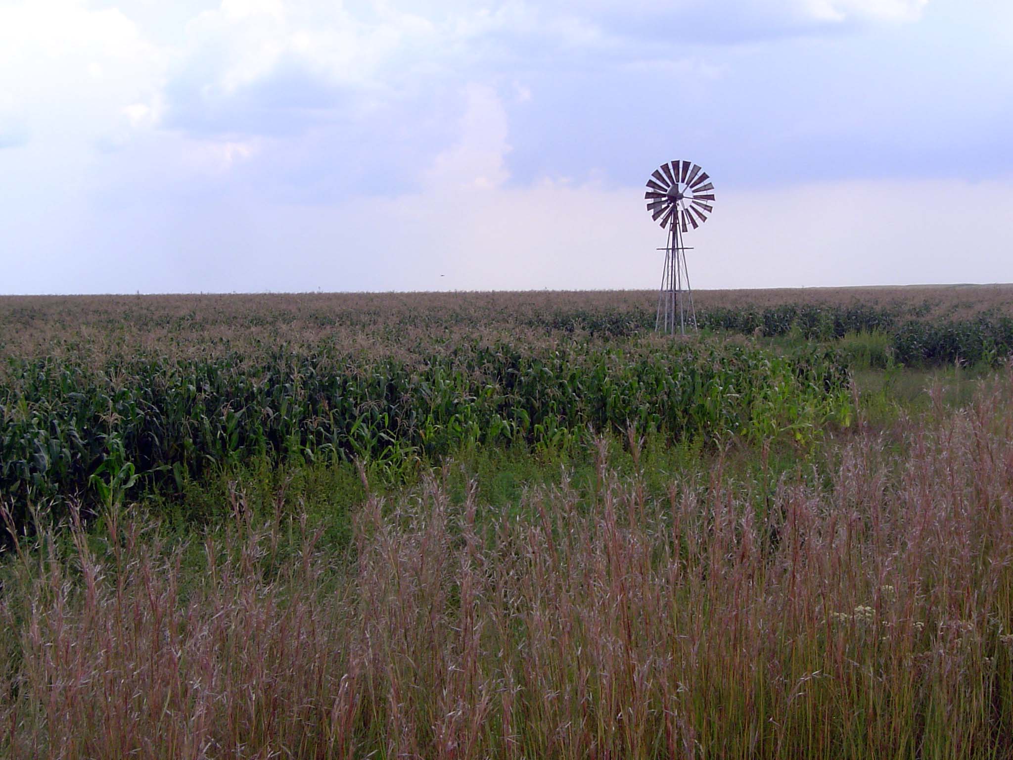 A hint of farmsteads lost as farms grew larger.