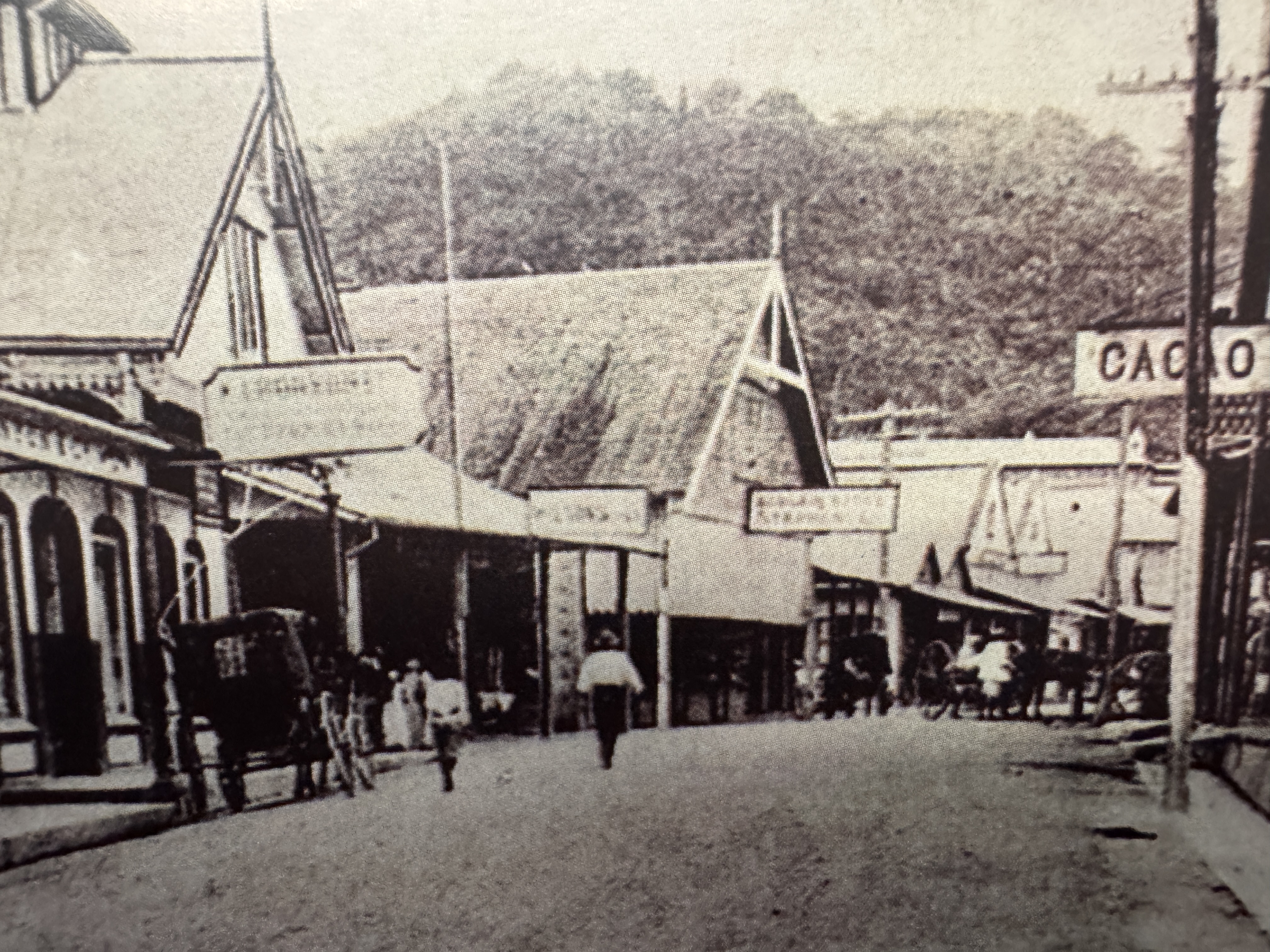 San Fernando's High Street in the 1880s, with San Fernando Hill in the background.

Angelo Bissessarsingh, A Walk Back in Time, 2015, p. 89.