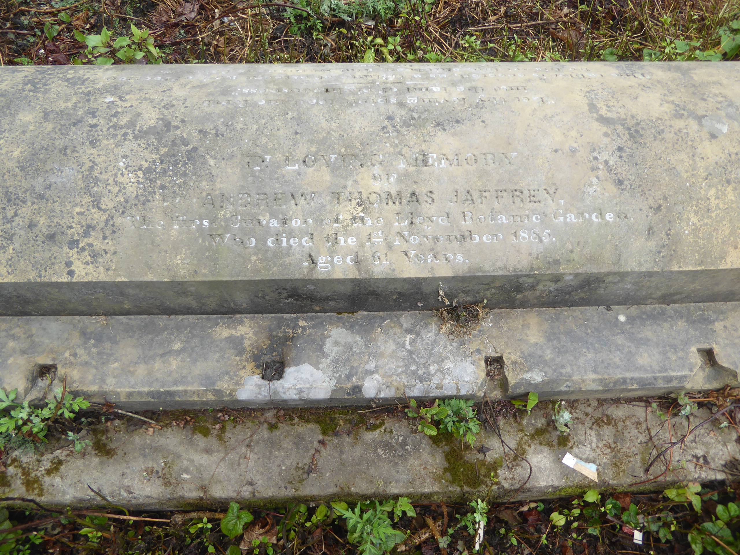 Andrew Thomas Jaffrey, "the first curator of the Lloyd Botanic Garden, who died the first of November 1865. Aged 61 years."