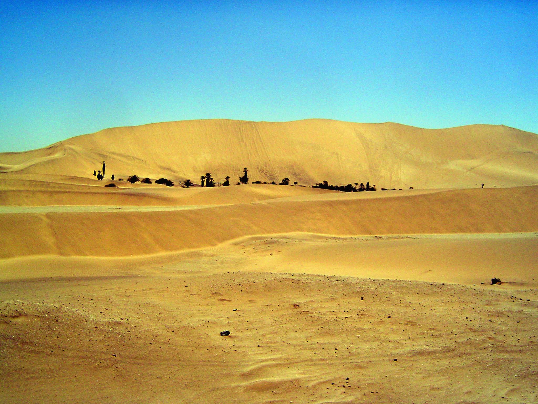 Dune 7. That's the actual name, straight out of sci-fi.