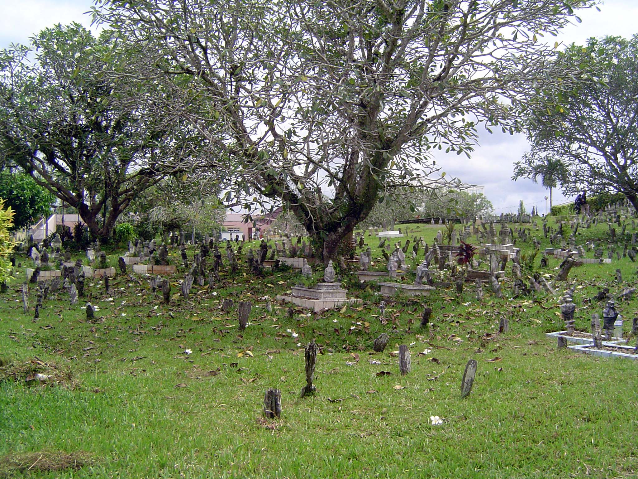 Another view.