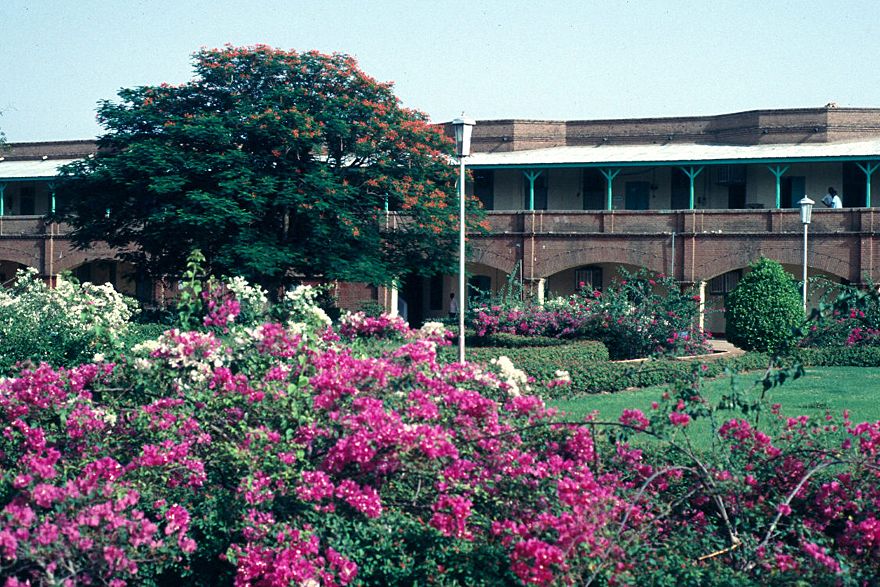 Behind the mass of Bougainvillea: the scheme's administration building. Here, plans were laid out to manage the production of long-staple co
