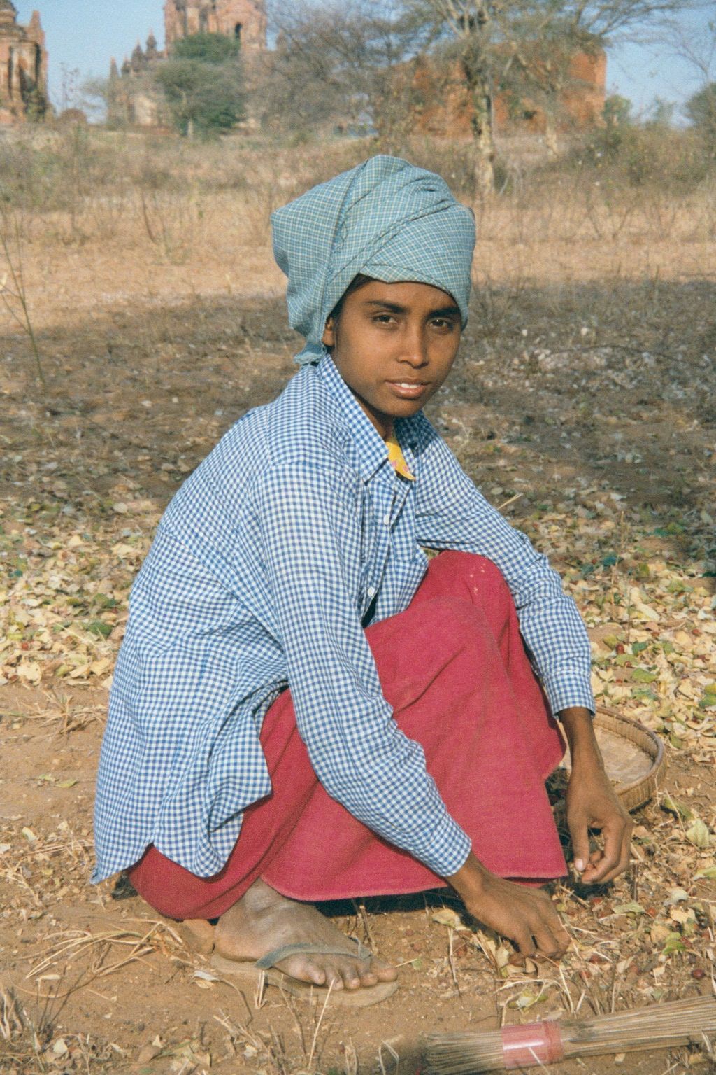 In the interstices, agriculture continues. In the dry season, the ground is swept to collect cherry-like tree fruits.