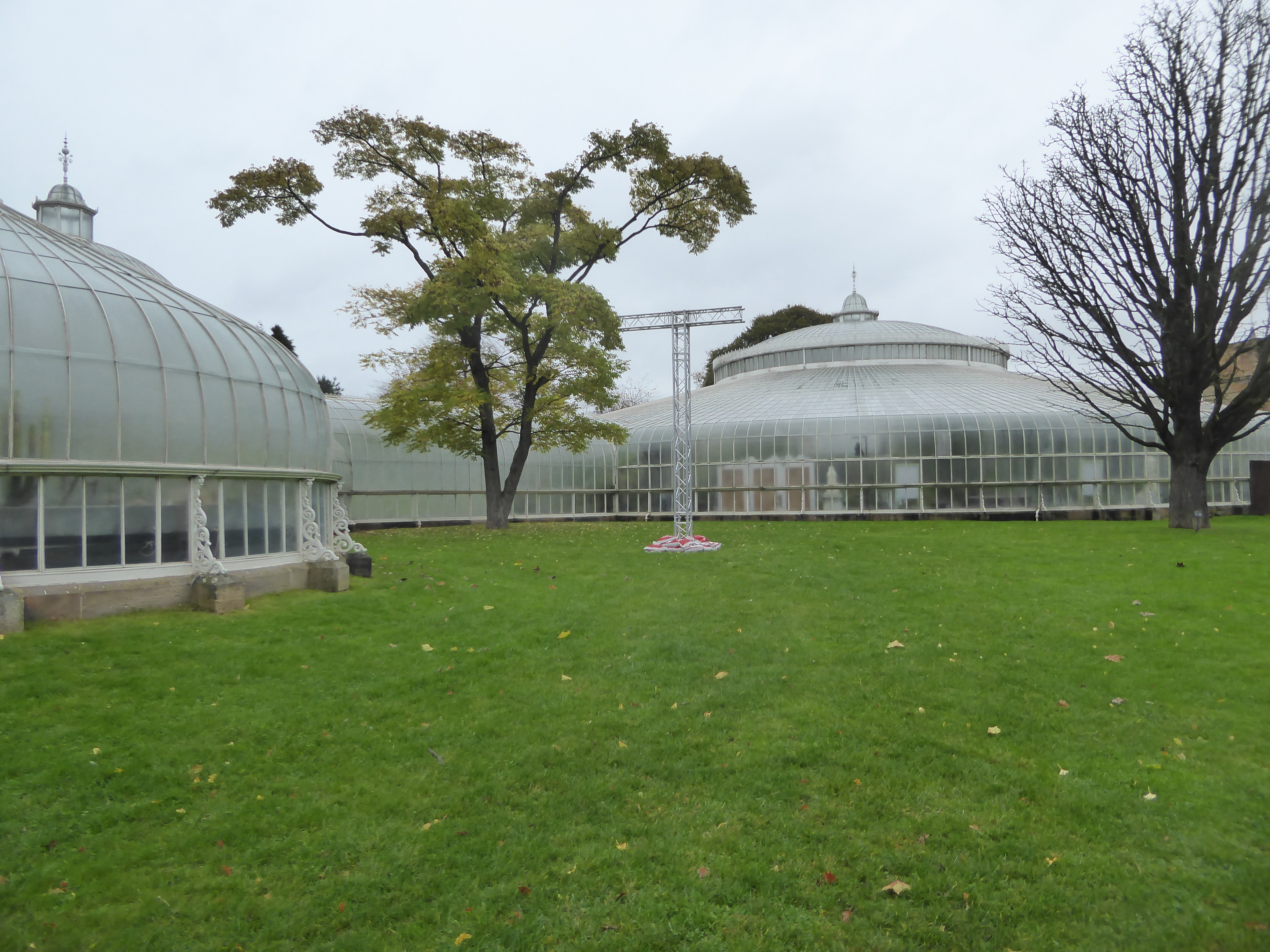 Now this is impressive. It's the Kibble Palace, a "dramatic giant glass mushroom" in Williamson's phrase. It was built in the 1860s for a pr