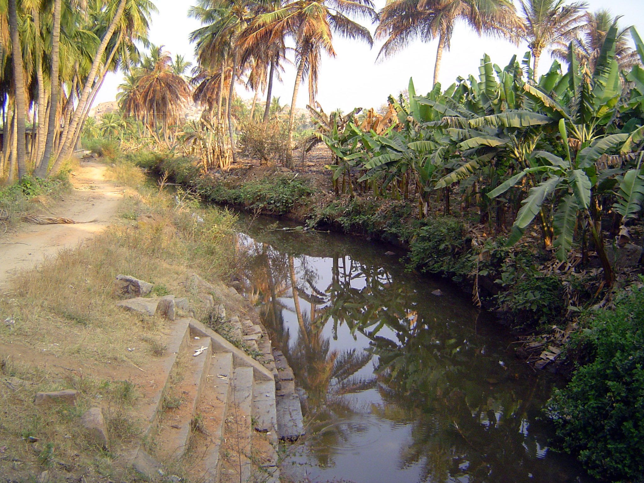 And here, within the Hampi site, is the Hiriya Canal, now called the Turtha or "Swift" Channel and dating back to about 1400. The point bein