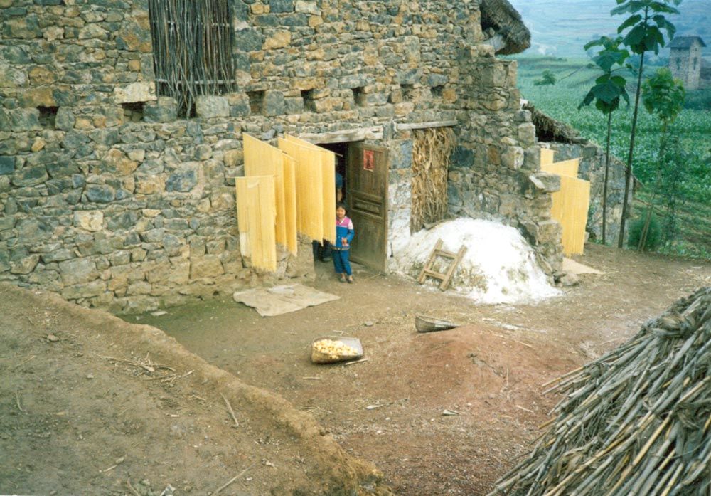 Drying noodles, with tobacco-drying barn in the background.