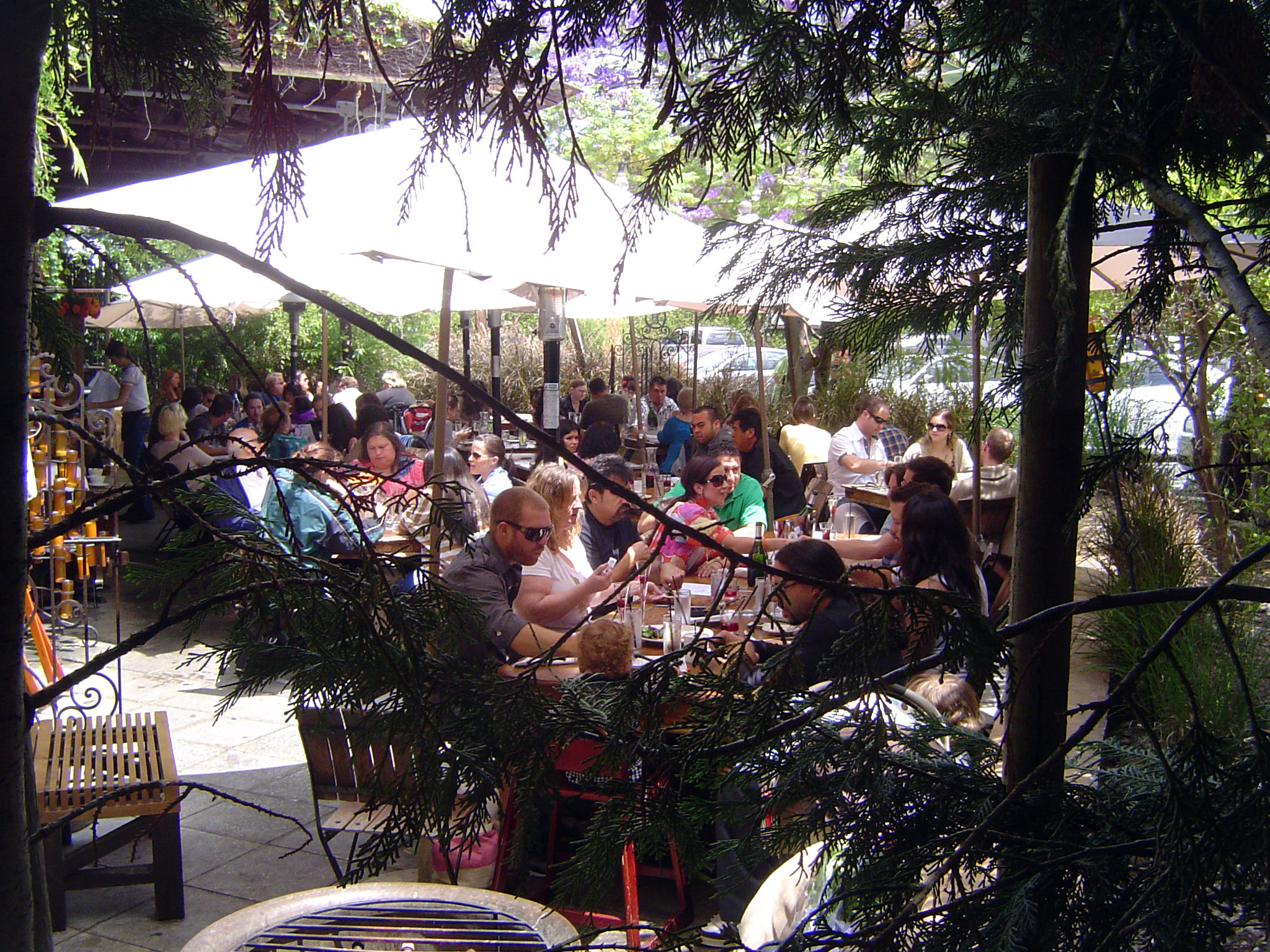 A restaurant here has a full house for Sunday brunch.