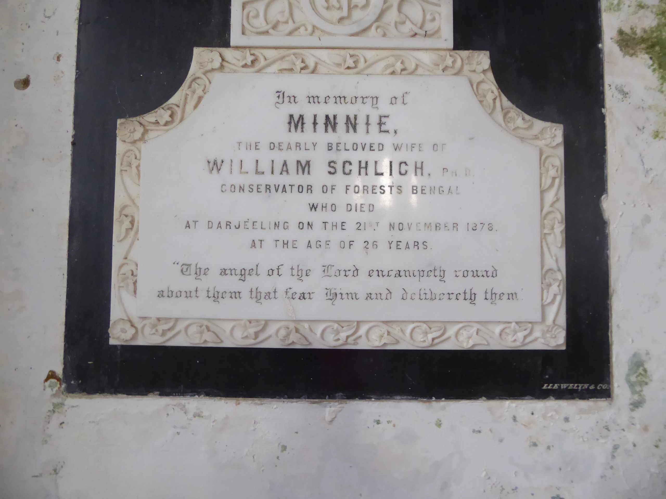 Husband William grew up as Wilhelm and earned a doctoral degree in Germany in 1867. He then joined the Indian forest service and rose to bec
