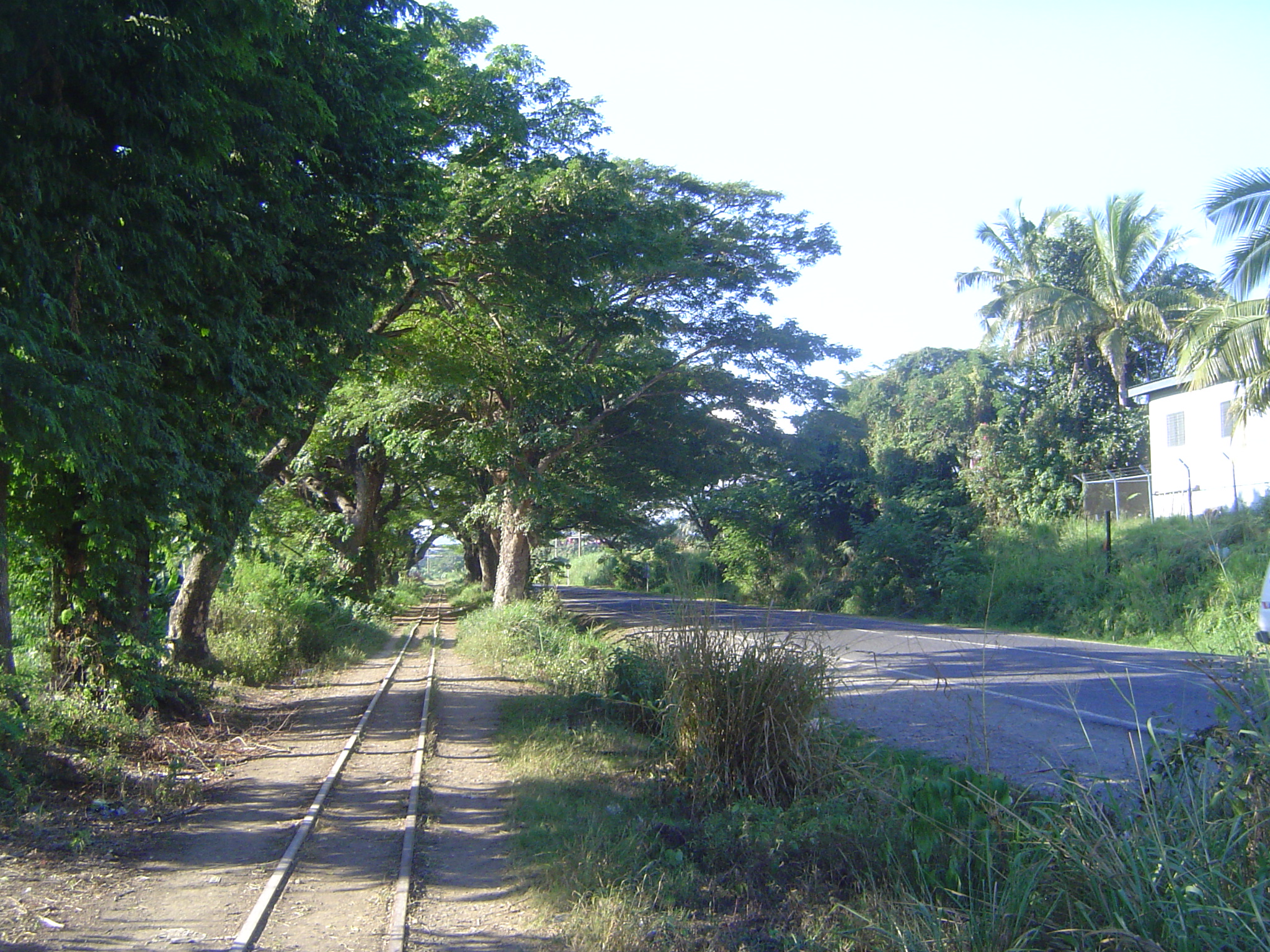The company was Australian and at first relied on sugar produced by native Fijians, who grew the crop reluctantly as an alternative to a Bri