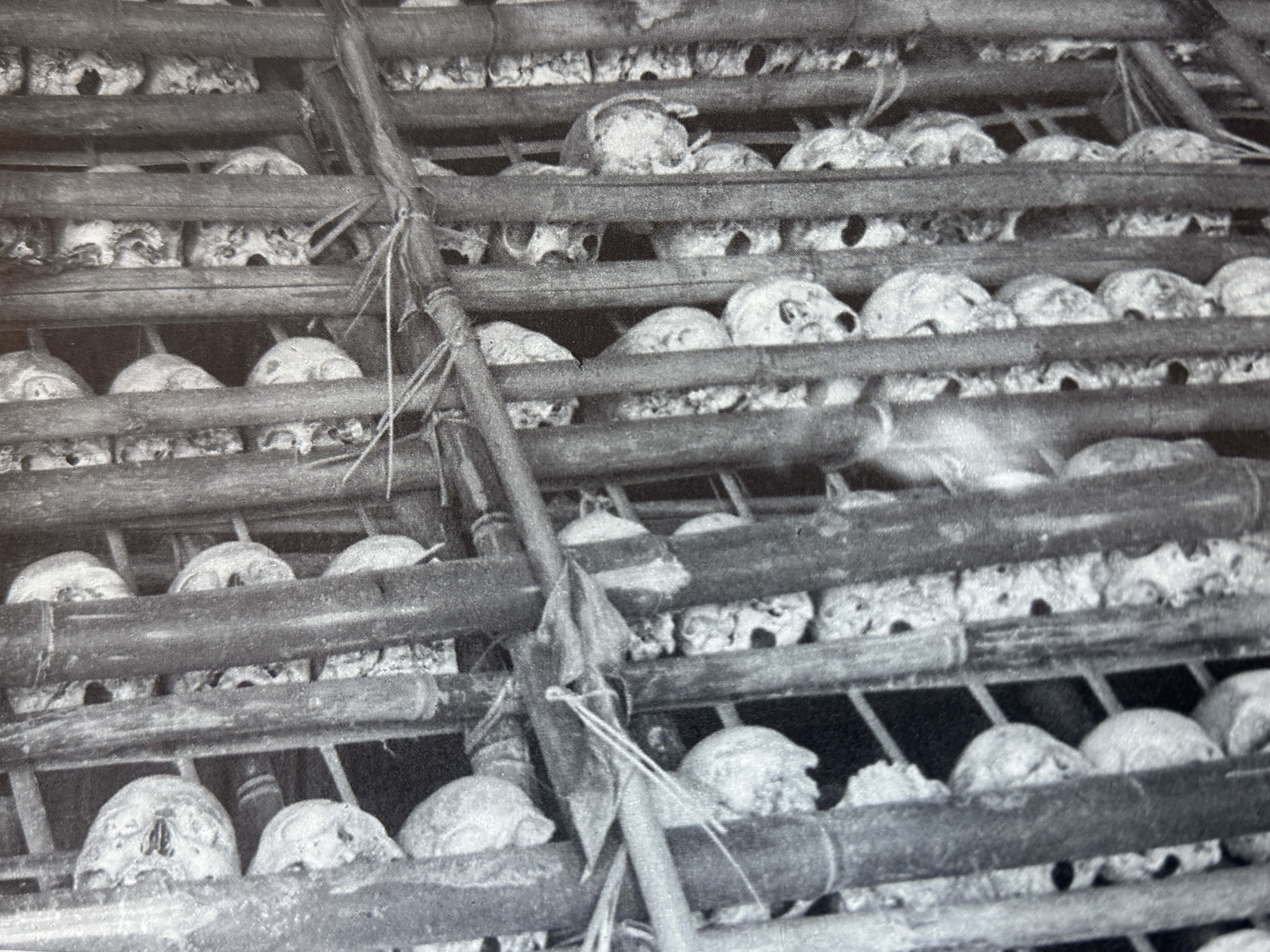 Not that they didn't want it: here's a photo of a skull rack from a Konyak Village.  The Konyaks are the most remote Naga tribe, in the far
