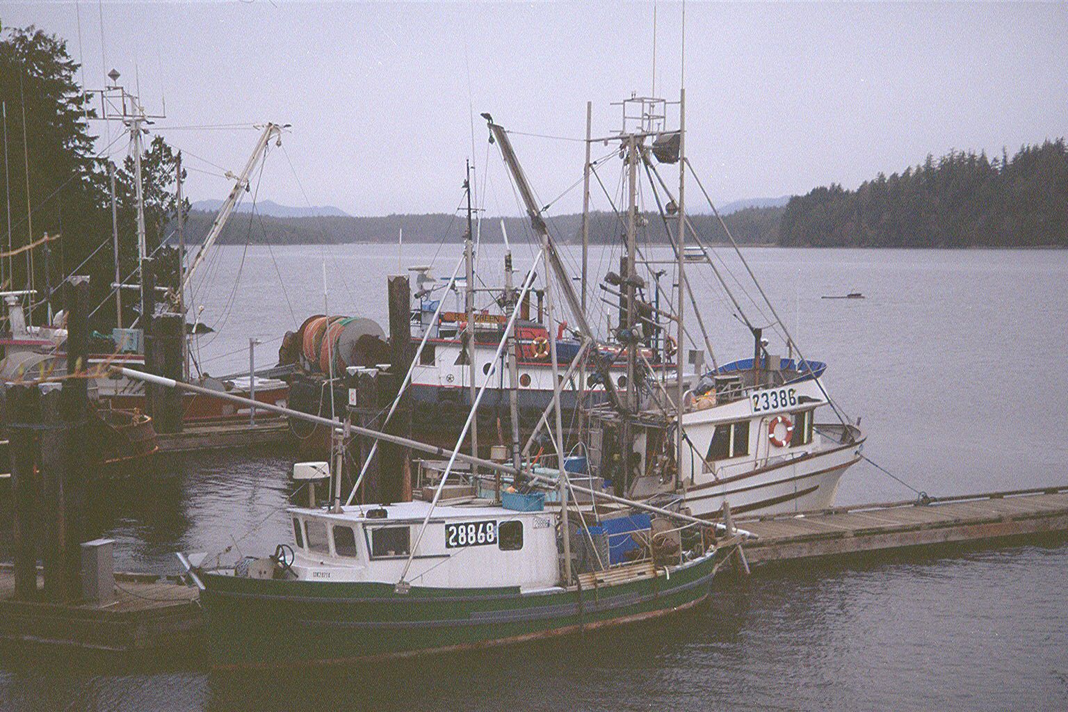 The Pacific Rim National Park occupies most of the peninsula but not the northern or southern tips. The southern tip is occupied by the fish