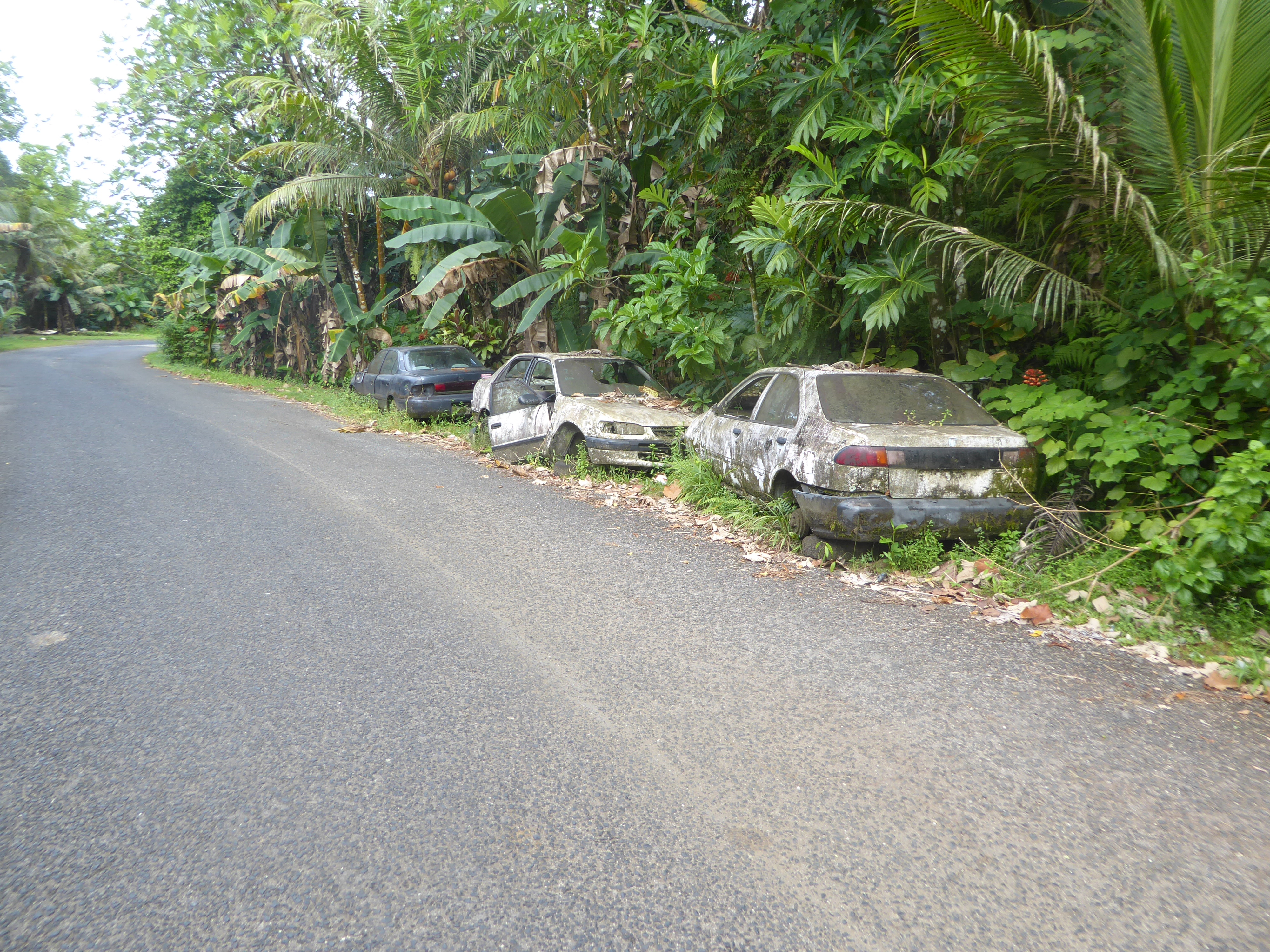 When cars break down on Pohnpei, they are often abandoned rather than fixed. Carcasses litter the main road around the island.