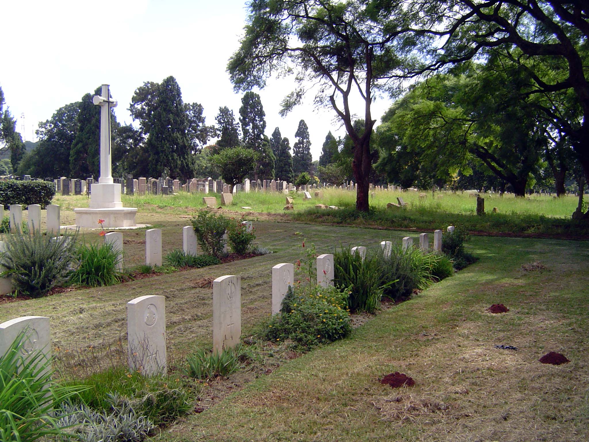 Europeans in the city were at their greatest density in the city's large cemetery.