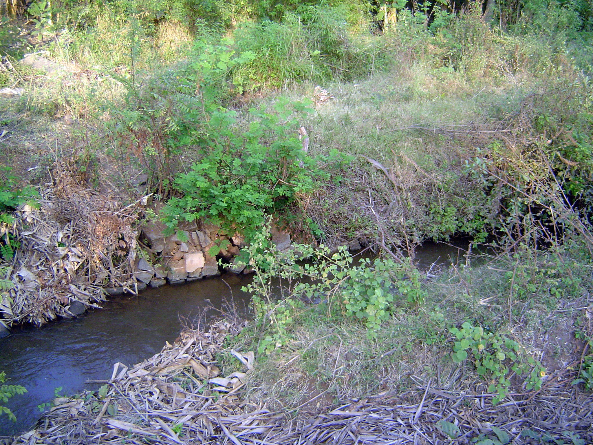 At first blush, the canal walls seem crude.