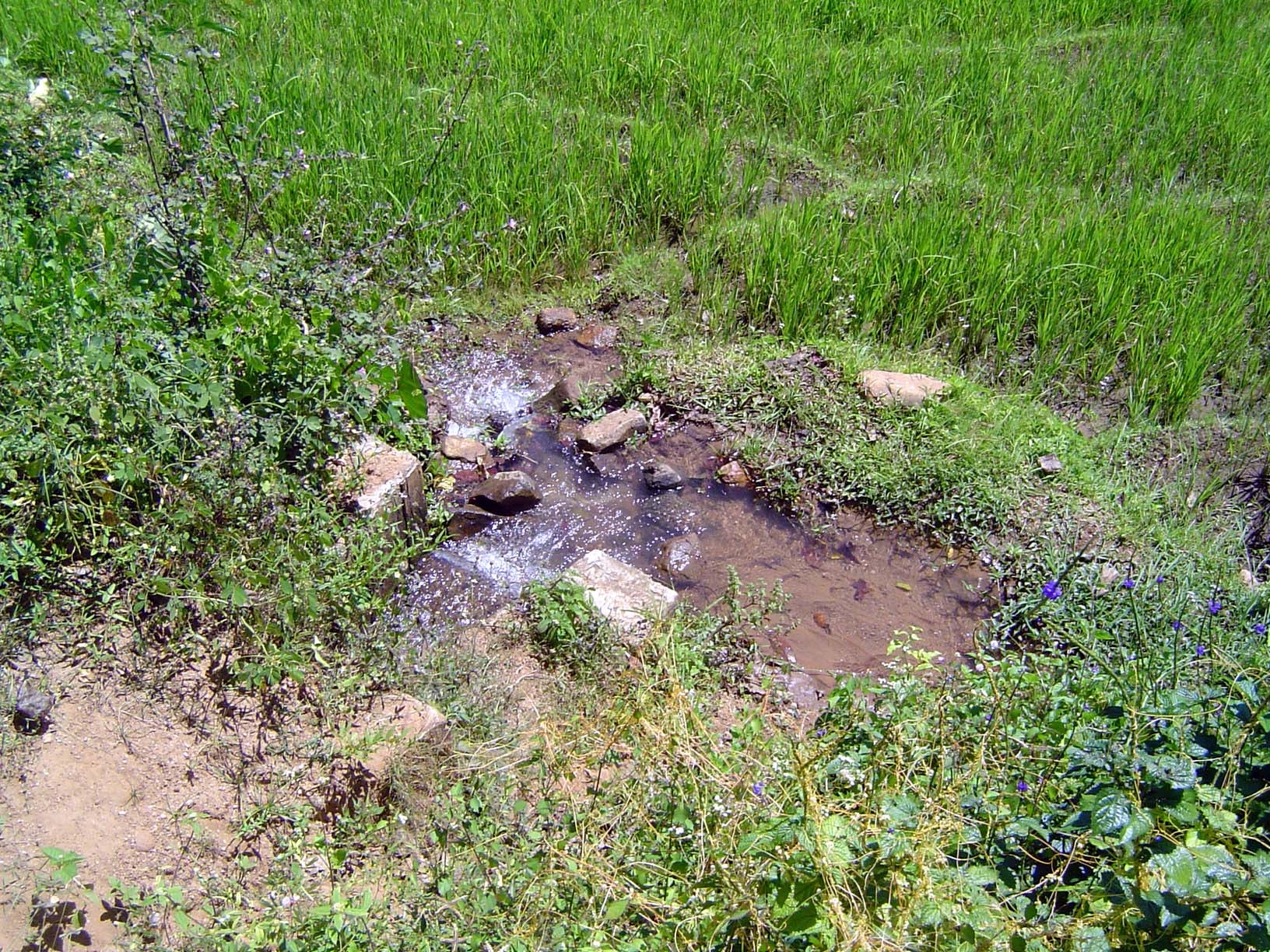 Head of a field ditch.