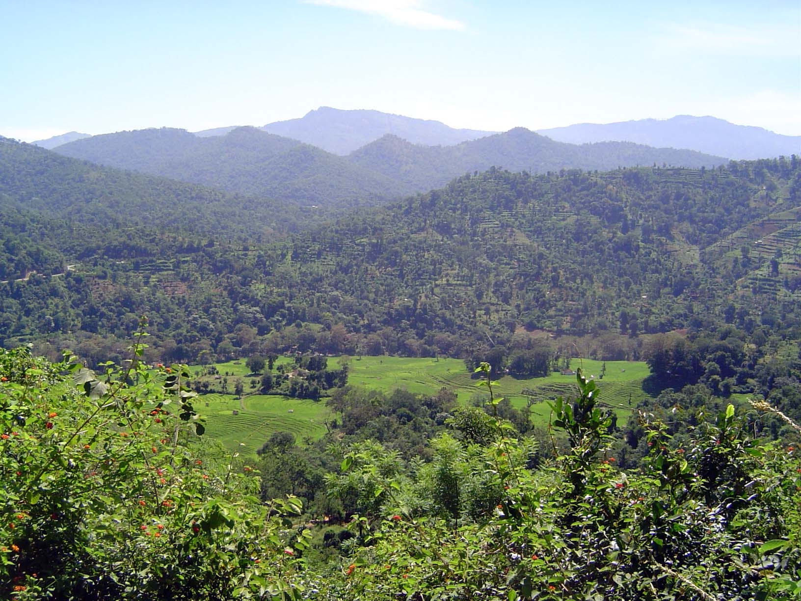 Looking down to the village's paddy land.