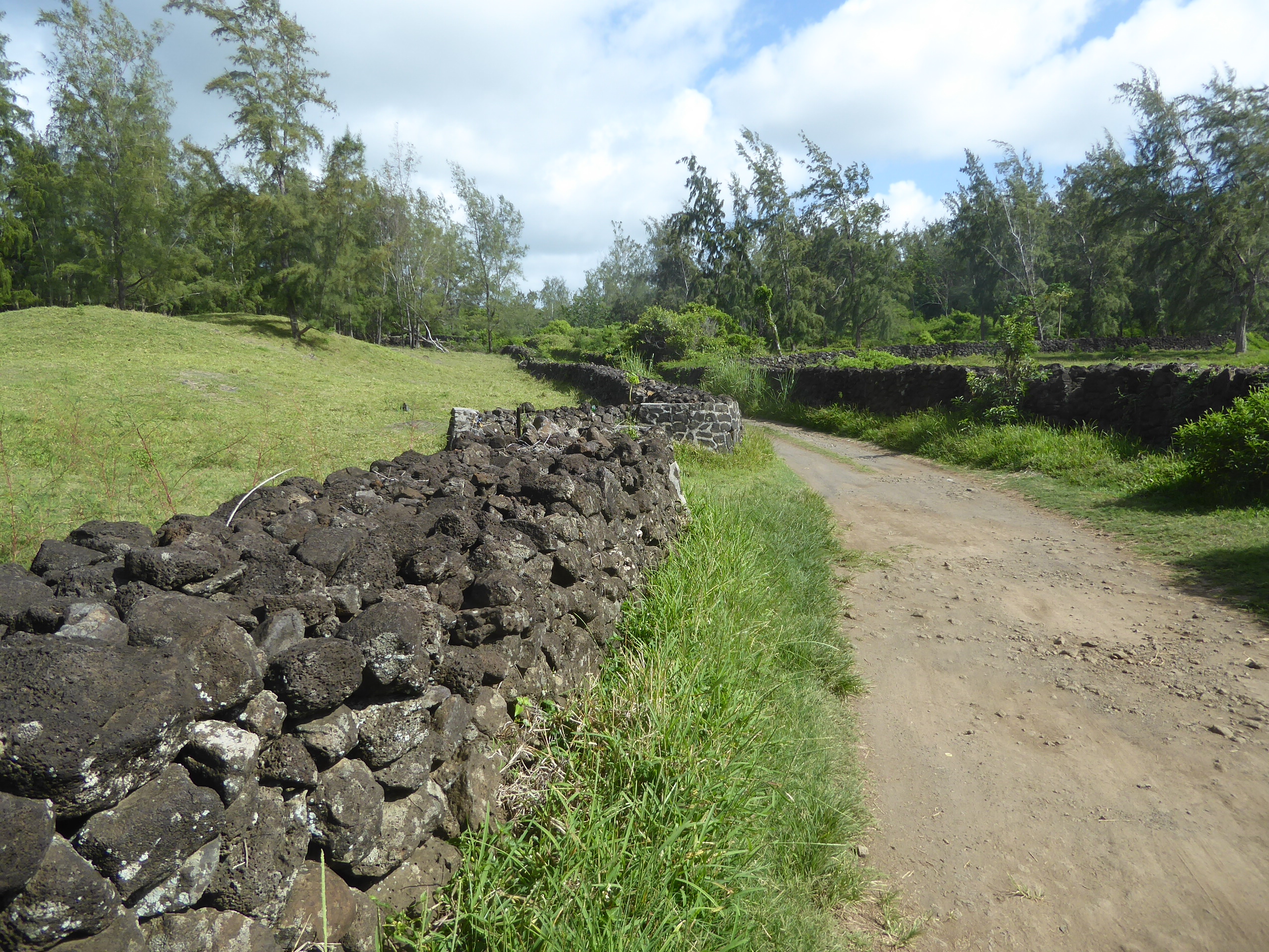 Approaching the coast, the road is lined with something you don't see here much: stone walls built, perhaps, to enclose pastures.