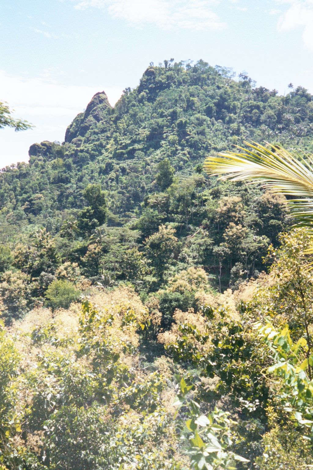 Meanwhile, look more closely at the hillside: near the center you can make out the lines of terraced crops.