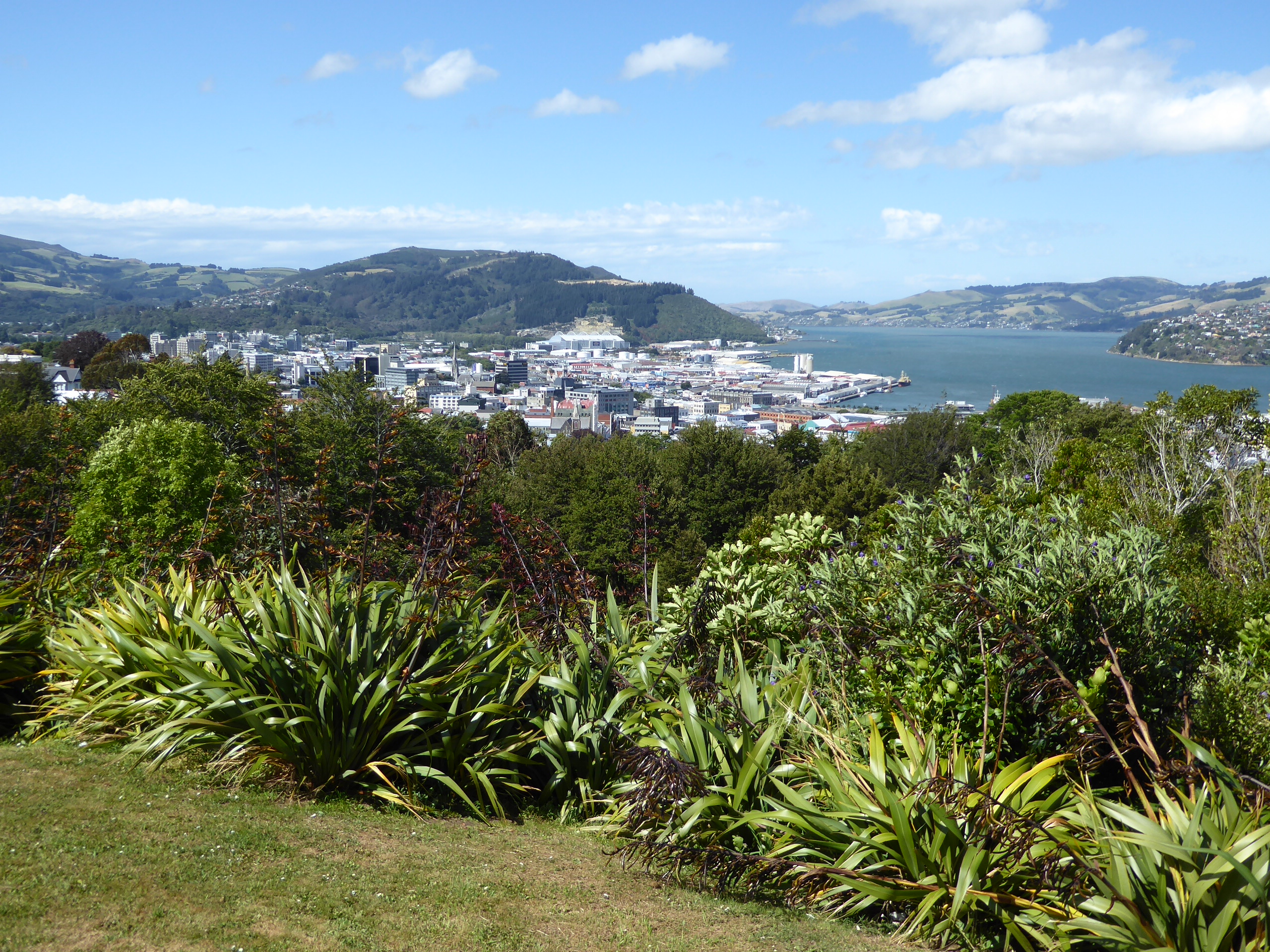 Here we've circled around to the end of the harbor and found a hill Unity Park overlooking the city. The town—about time we settled this det