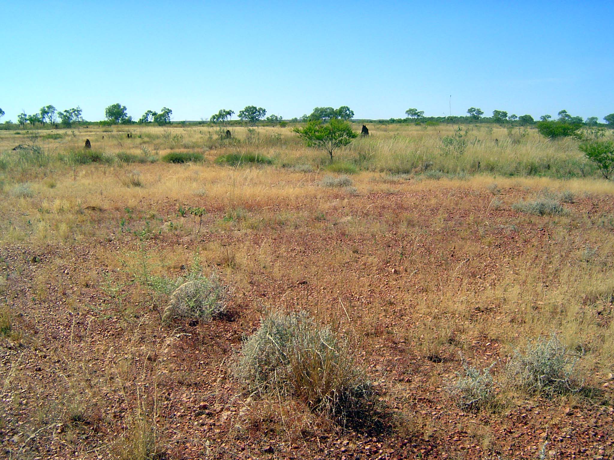 Wartime station grounds, wiped clean.