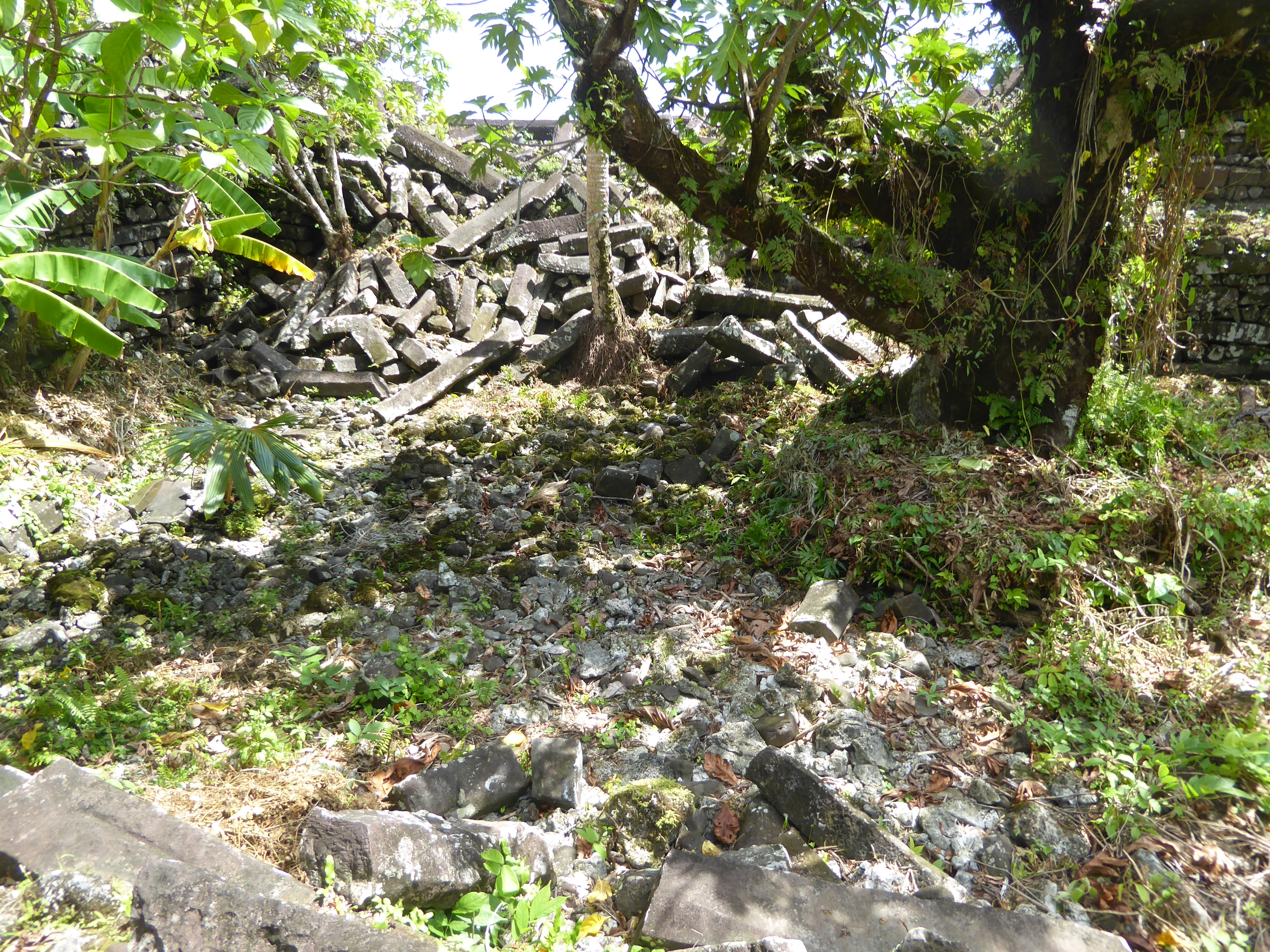 Behind the tomb but still within the enclosure there are heaps of logs left over from vanished structures, probably parts of the tombs of la