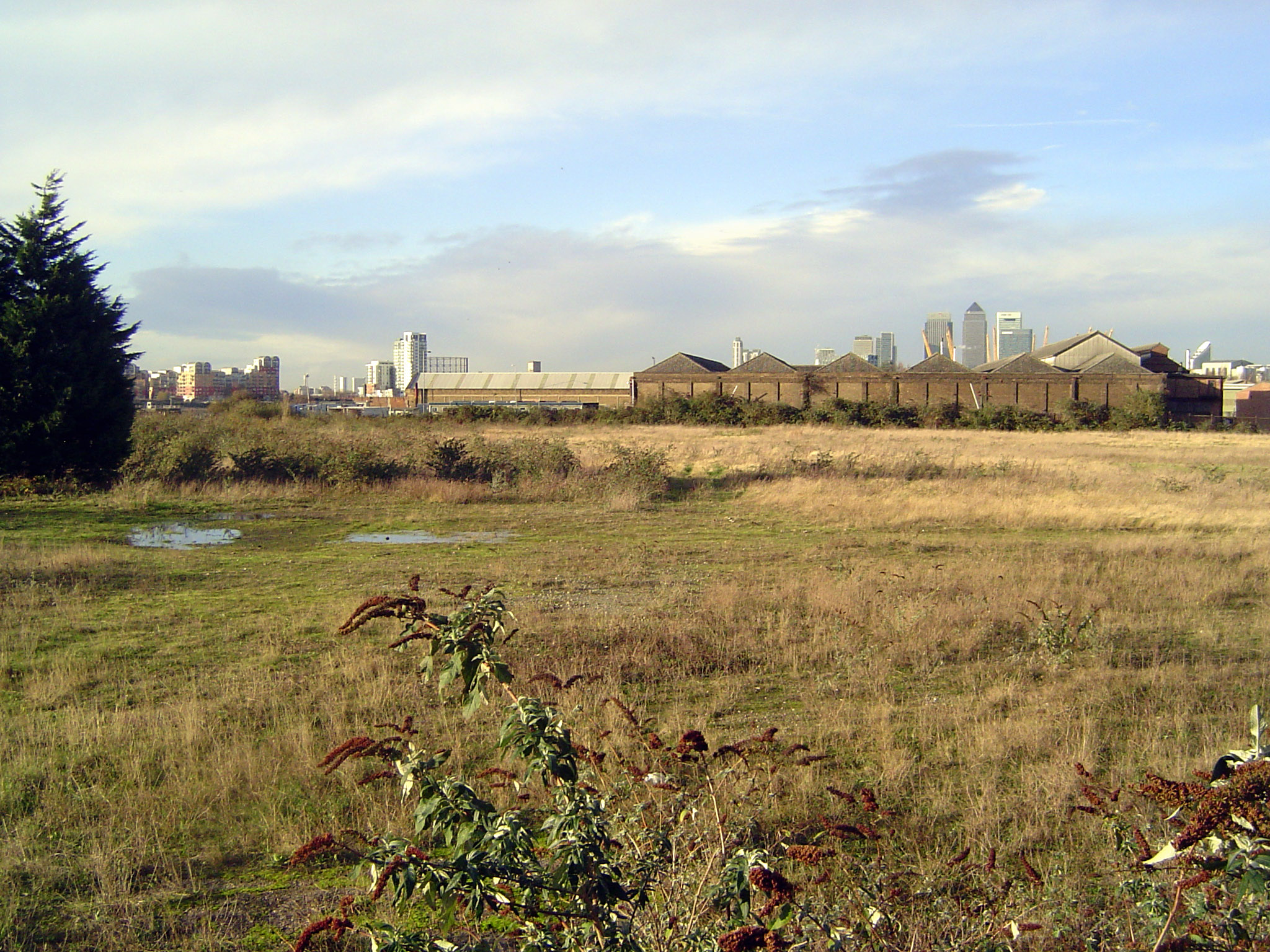 Vacant riverside land.