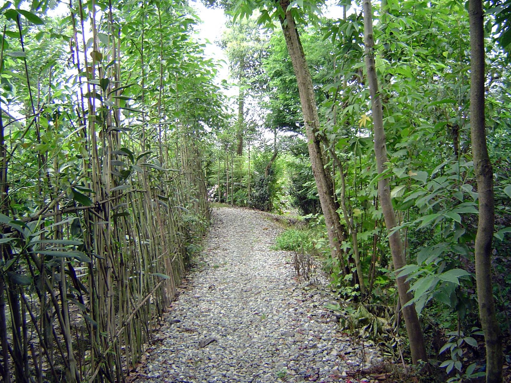 Follow the path?