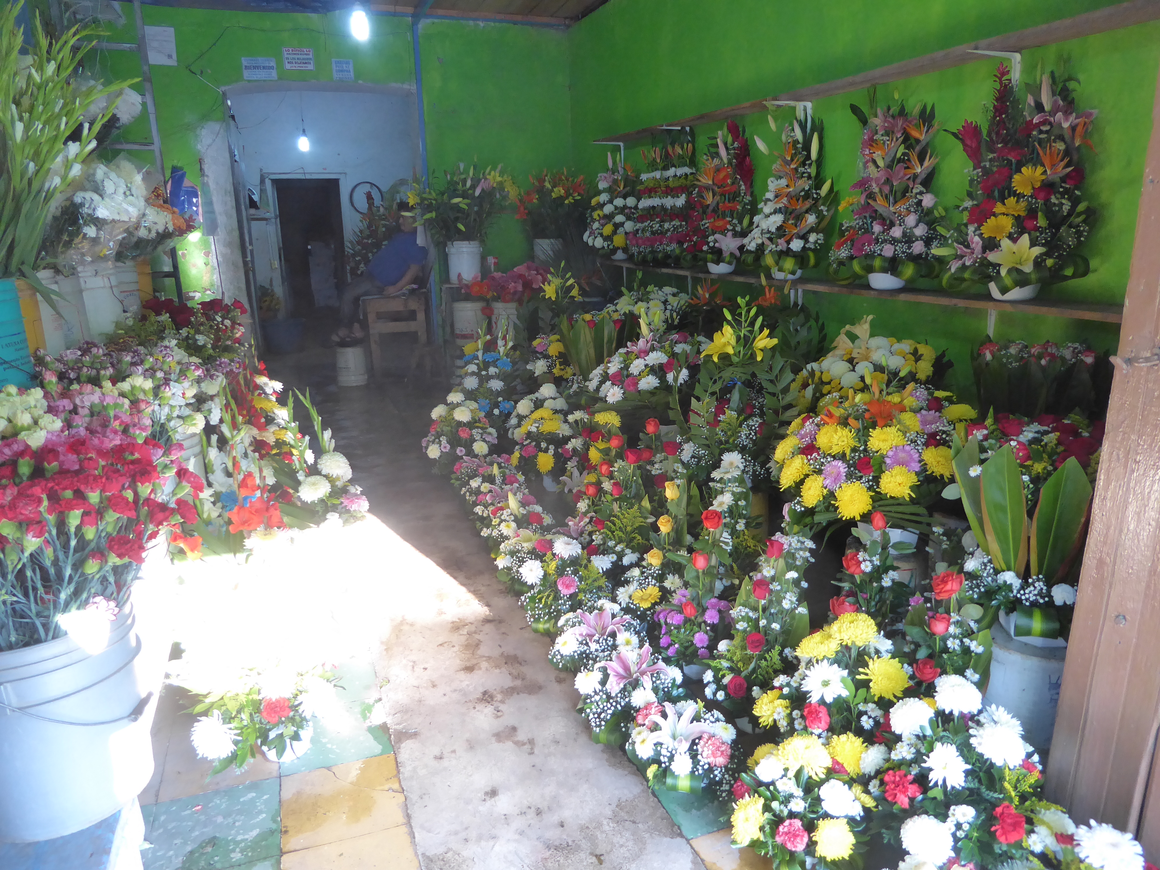 The streets of Silao are gritty, but somebody here likes flowers. These ones smelled good, too.