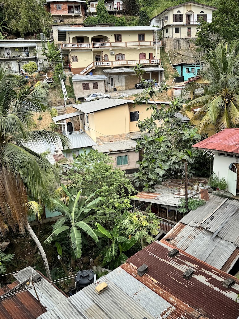 View from the church's balcony.